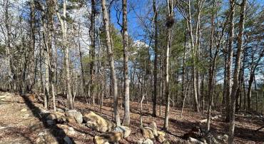 K57 & K68 FOREST EXT DR, LURAY, Virginia 22835, ,Land,For sale,K57 & K68 FOREST EXT DR,VAPA2004942 MLS # VAPA2004942