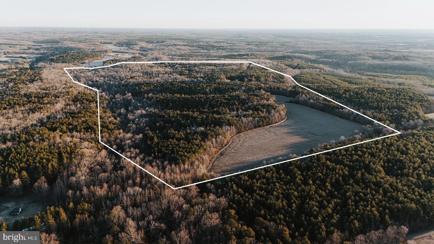 00 LAYELL RD, BEAVERDAM, Virginia 23015, ,Farm,For sale,00 LAYELL RD,VAHA2001000 MLS # VAHA2001000