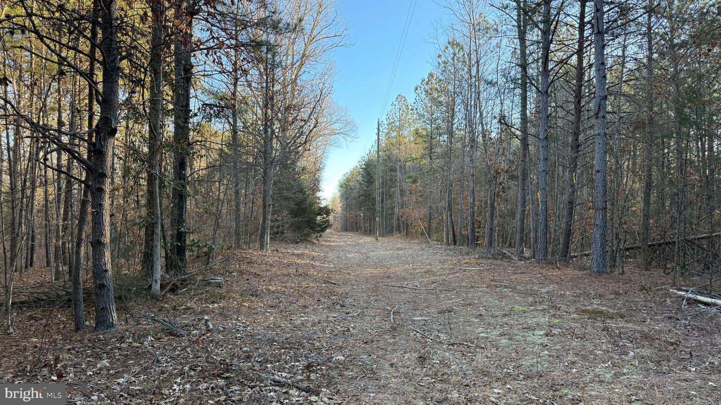 00 LAYELL RD, BEAVERDAM, Virginia 23015, ,Farm,For sale,00 LAYELL RD,VAHA2001000 MLS # VAHA2001000