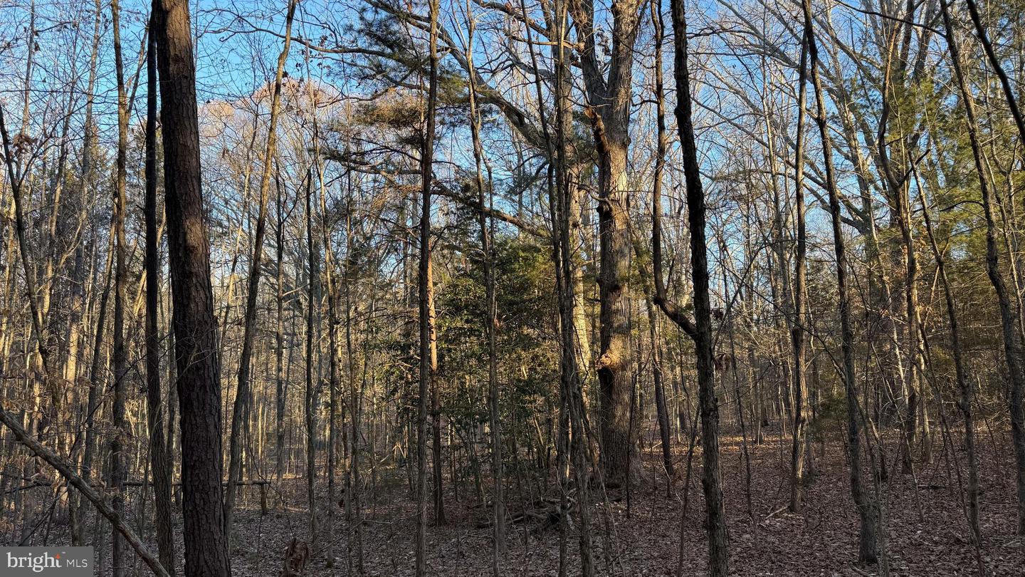 00 LAYELL RD, BEAVERDAM, Virginia 23015, ,Farm,For sale,00 LAYELL RD,VAHA2001000 MLS # VAHA2001000