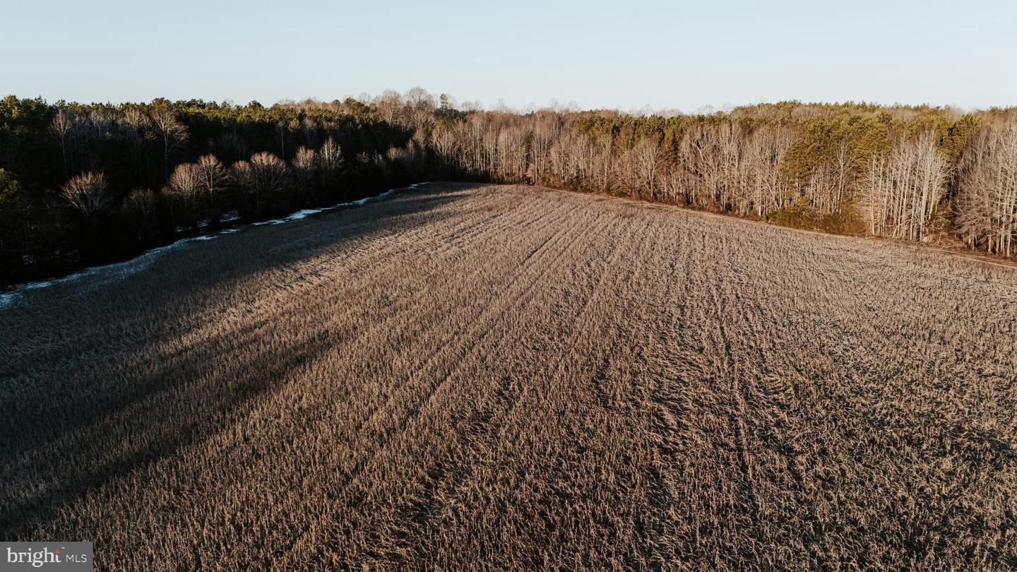 00 LAYELL RD, BEAVERDAM, Virginia 23015, ,Farm,For sale,00 LAYELL RD,VAHA2001000 MLS # VAHA2001000