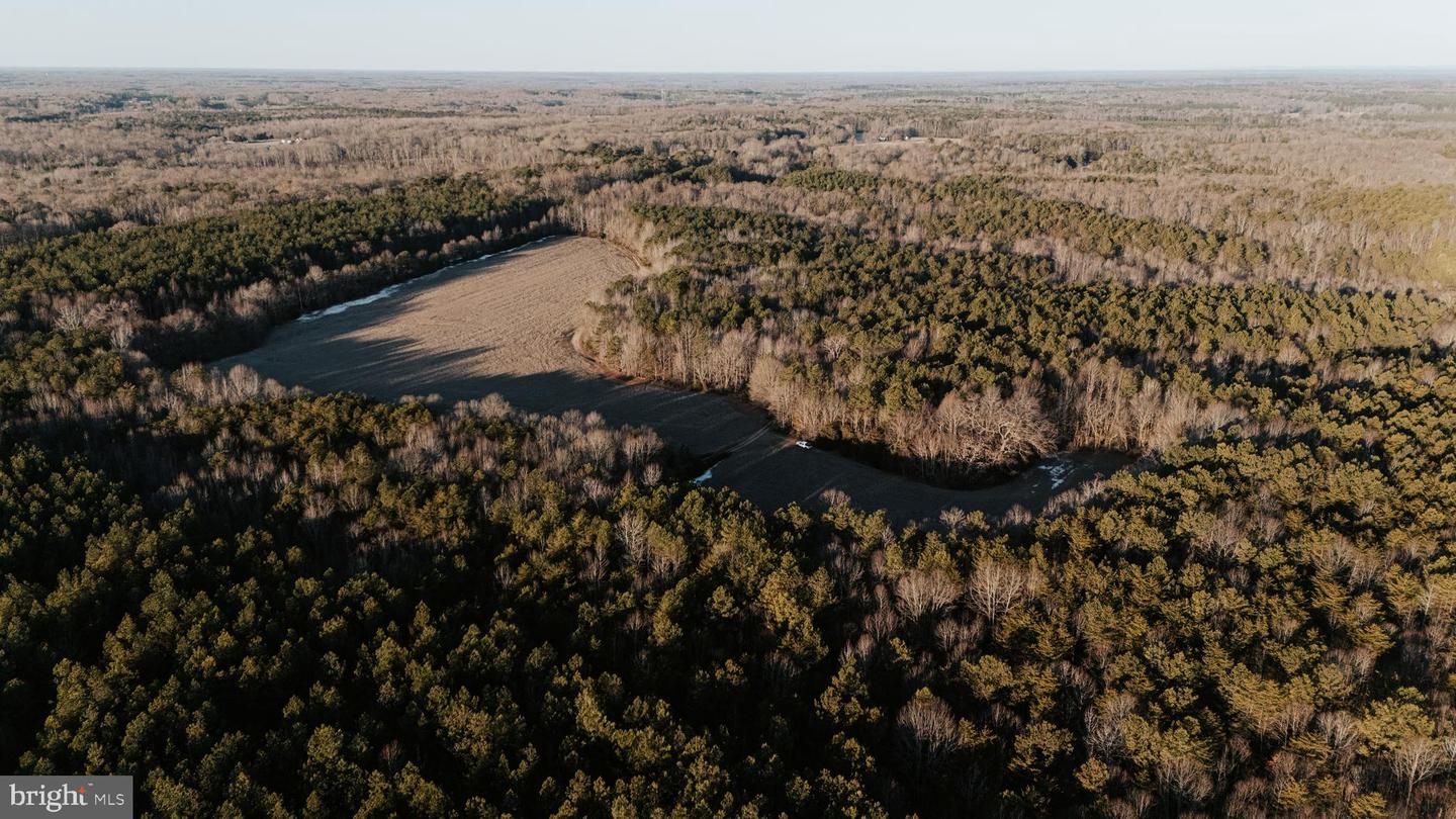 00 LAYELL RD, BEAVERDAM, Virginia 23015, ,Farm,For sale,00 LAYELL RD,VAHA2001000 MLS # VAHA2001000