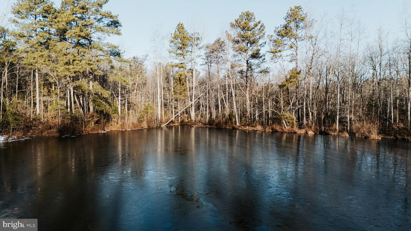 00 LAYELL RD, BEAVERDAM, Virginia 23015, ,Farm,For sale,00 LAYELL RD,VAHA2001000 MLS # VAHA2001000