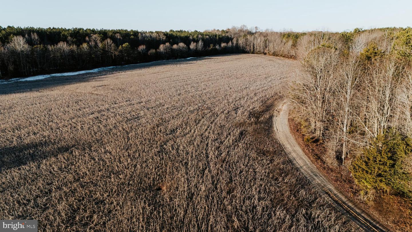 00 LAYELL RD, BEAVERDAM, Virginia 23015, ,Farm,For sale,00 LAYELL RD,VAHA2001000 MLS # VAHA2001000