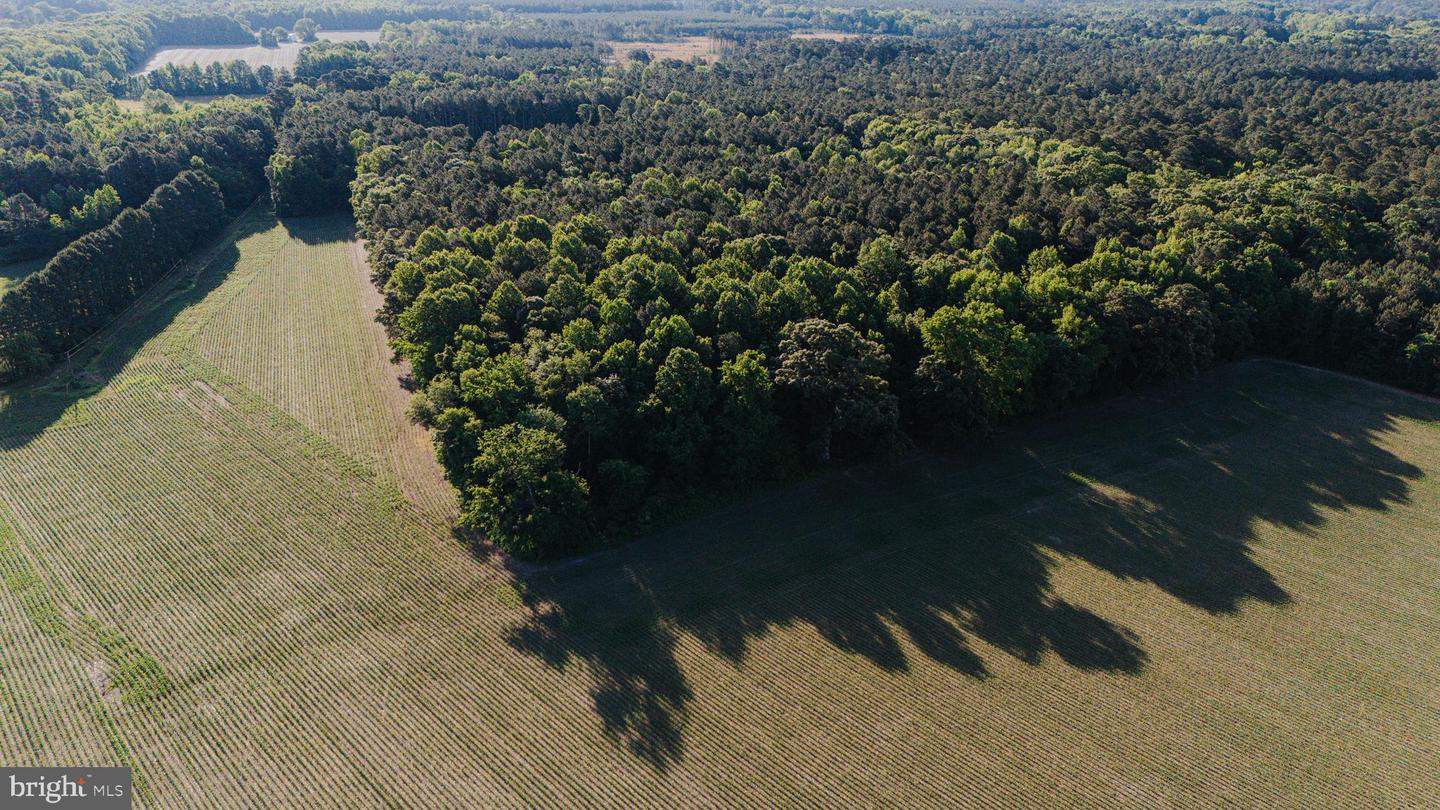 0 NORWOOD CHURCH RD, LANCASTER, Virginia 22503, ,Farm,For sale,0 NORWOOD CHURCH RD,VALV2000818 MLS # VALV2000818