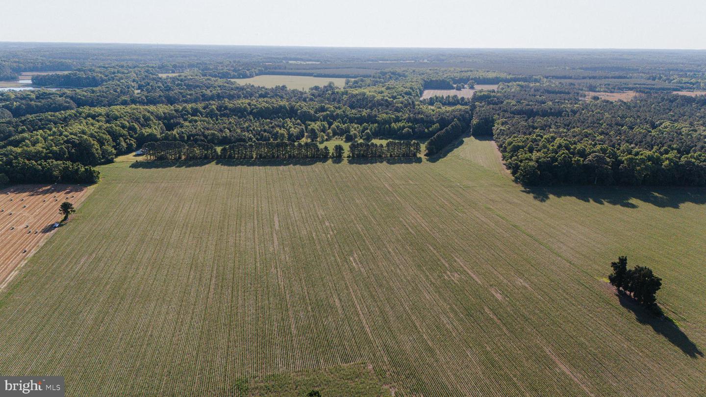 0 NORWOOD CHURCH RD, LANCASTER, Virginia 22503, ,Farm,For sale,0 NORWOOD CHURCH RD,VALV2000818 MLS # VALV2000818