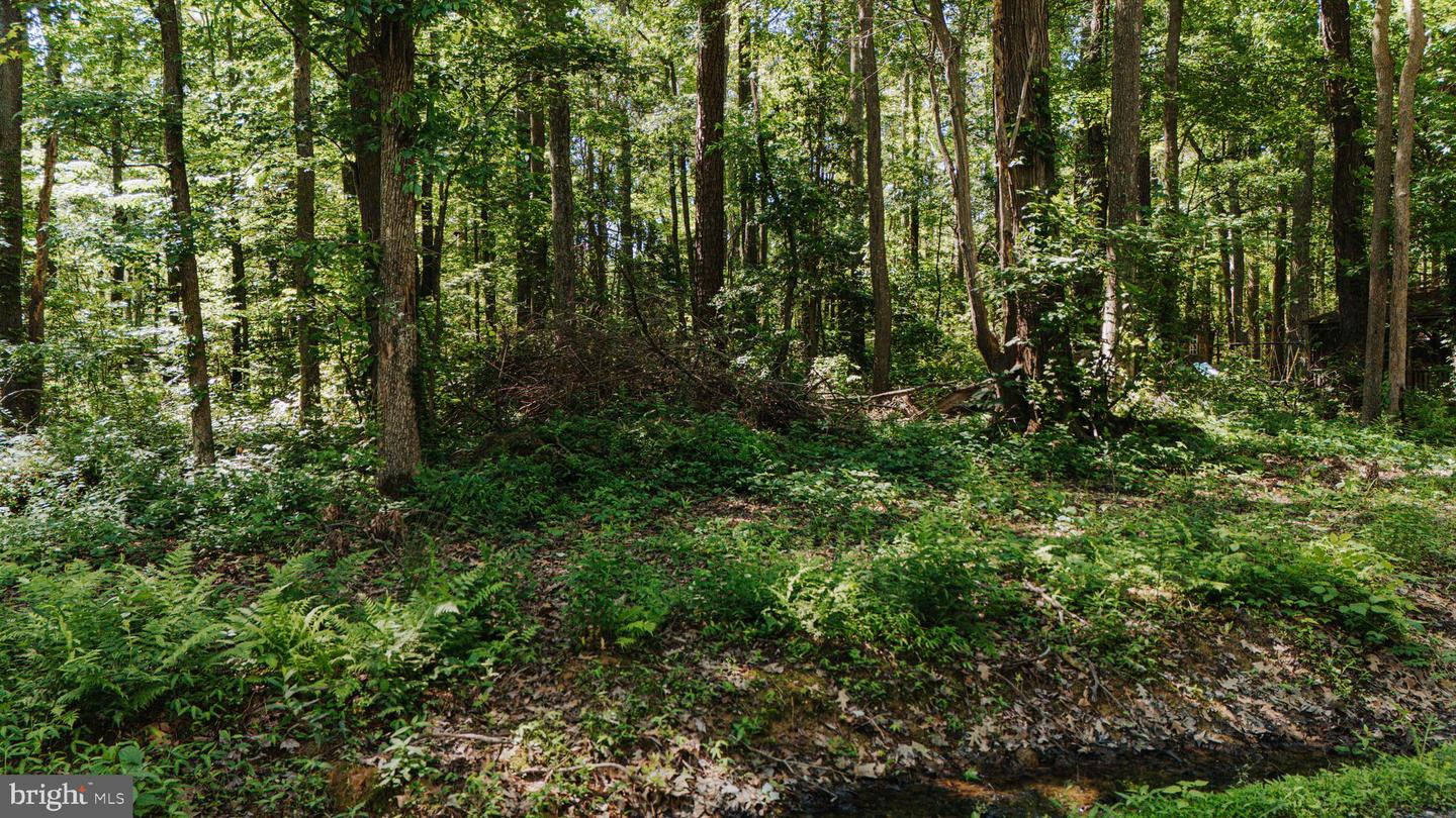 0 PIONEER TRL, HAGUE, Virginia 22469, ,Land,For sale,0 PIONEER TRL,VAWE2008970 MLS # VAWE2008970