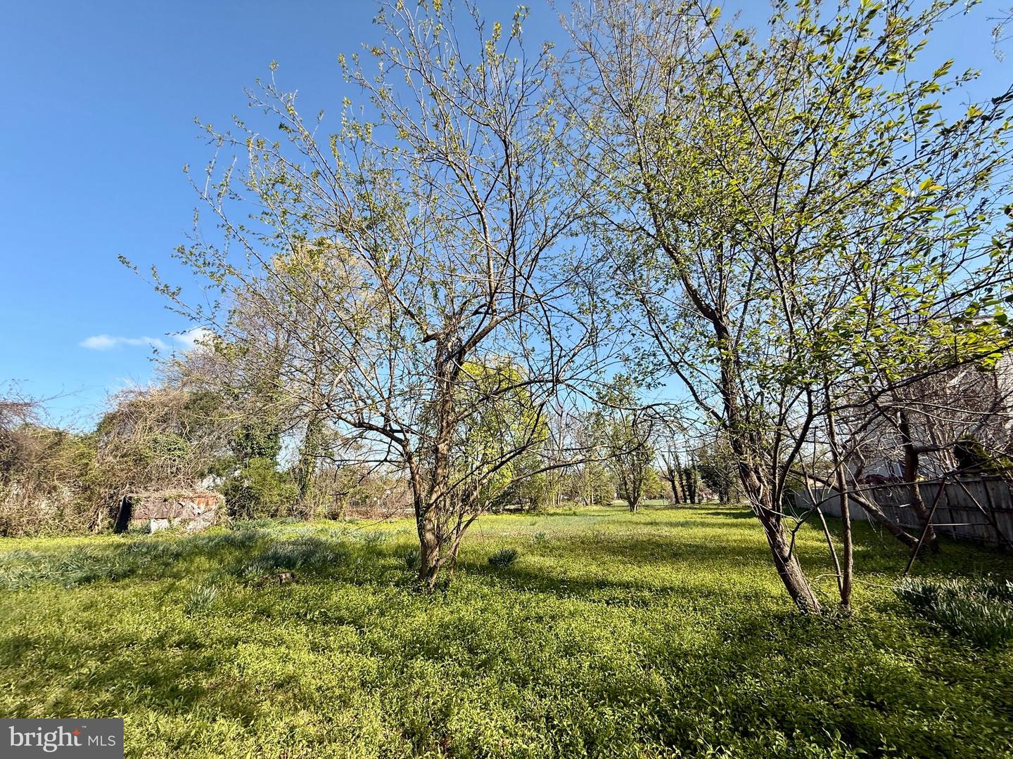 5941 4TH ST S, ARLINGTON, Virginia 22204, ,Land,For sale,5941 4TH ST S,VAAR2058140 MLS # VAAR2058140
