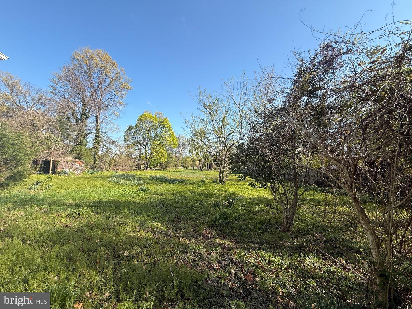 5941 4TH ST S, ARLINGTON, Virginia 22204, ,Land,For sale,5941 4TH ST S,VAAR2058140 MLS # VAAR2058140