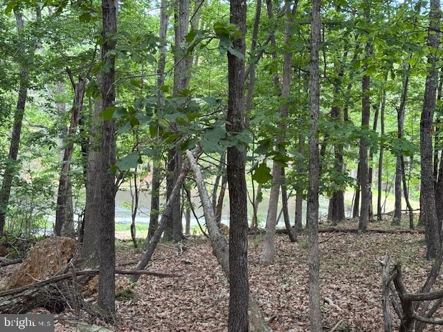 0 OFF RED OAK RD, CROSS JUNCTION, Virginia 22625, ,Land,For sale,0 OFF RED OAK RD,VAFV2034390 MLS # VAFV2034390