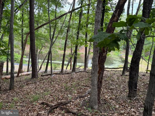 0 OFF RED OAK RD, CROSS JUNCTION, Virginia 22625, ,Land,For sale,0 OFF RED OAK RD,VAFV2034390 MLS # VAFV2034390
