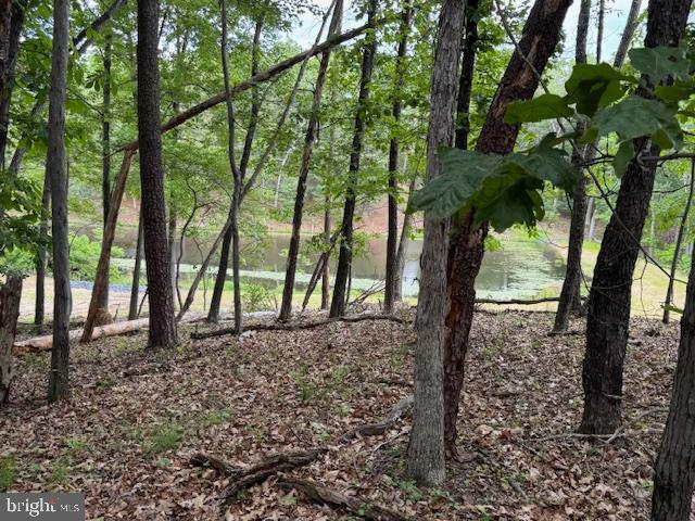 0 OFF RED OAK RD, CROSS JUNCTION, Virginia 22625, ,Land,For sale,0 OFF RED OAK RD,VAFV2034390 MLS # VAFV2034390
