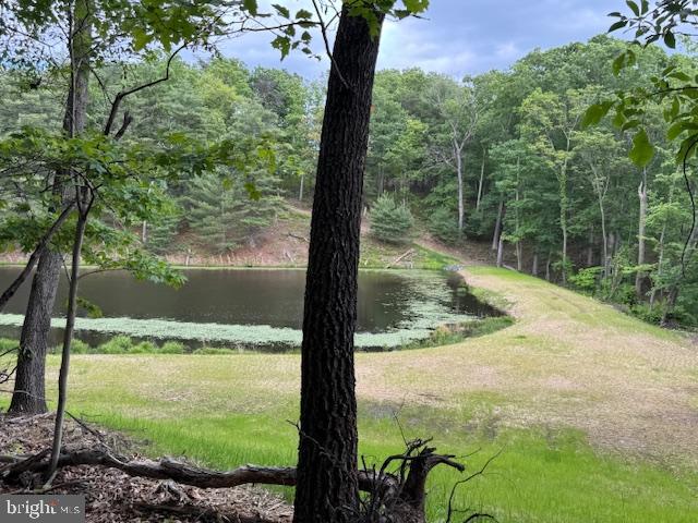 0 OFF RED OAK RD, CROSS JUNCTION, Virginia 22625, ,Land,For sale,0 OFF RED OAK RD,VAFV2034390 MLS # VAFV2034390