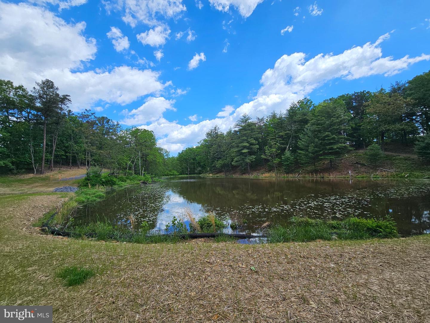 0 OFF RED OAK RD, CROSS JUNCTION, Virginia 22625, ,Land,For sale,0 OFF RED OAK RD,VAFV2034390 MLS # VAFV2034390