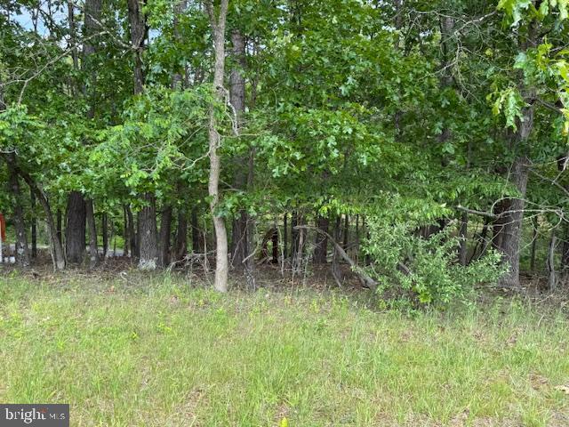 LOT 2 RED OAK RD, CROSS JUNCTION, Virginia 22625, ,Land,For sale,LOT 2 RED OAK RD,VAFV2034392 MLS # VAFV2034392