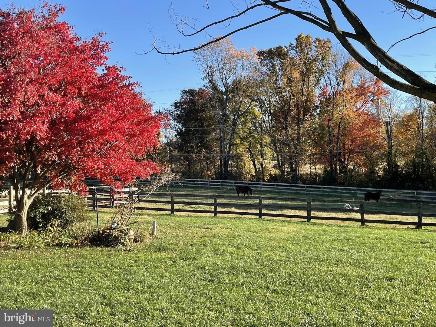 17029 HAMILTON STATION RD, HAMILTON, Virginia 20158, 3 Bedrooms Bedrooms, ,4 BathroomsBathrooms,Residential,For sale,17029 HAMILTON STATION RD,VALO2089620 MLS # VALO2089620