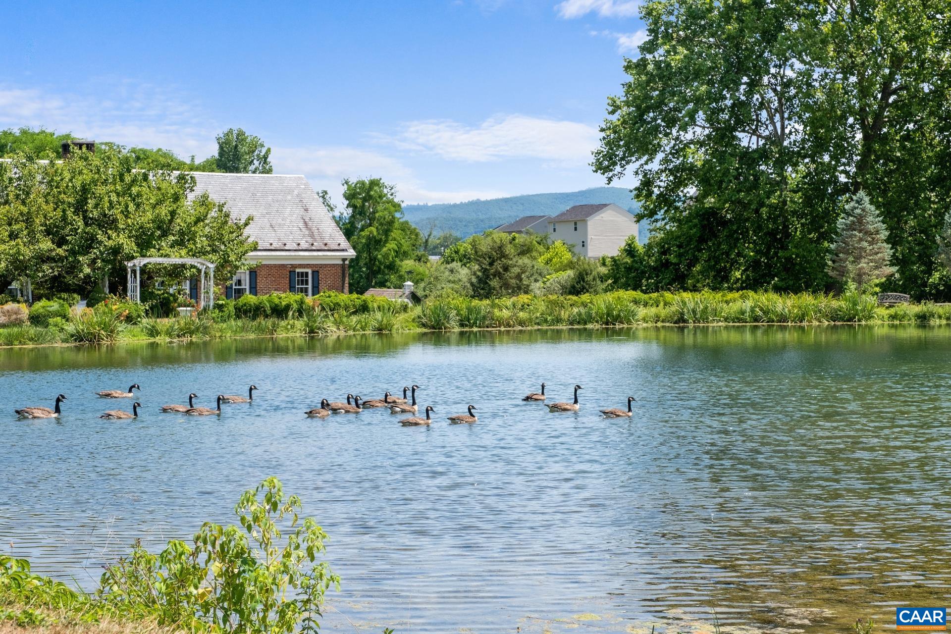 The pond is a part of the HOA. Property owners can fish from the pond.  Claybrook also includes walking trails, and the green way trail is behind the property.