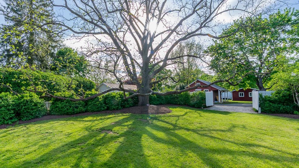 111 S MAIN ST, BRIDGEWATER, Virginia 22812, 3 Bedrooms Bedrooms, ,3 BathroomsBathrooms,Residential,111 S MAIN ST,664880 MLS # 664880