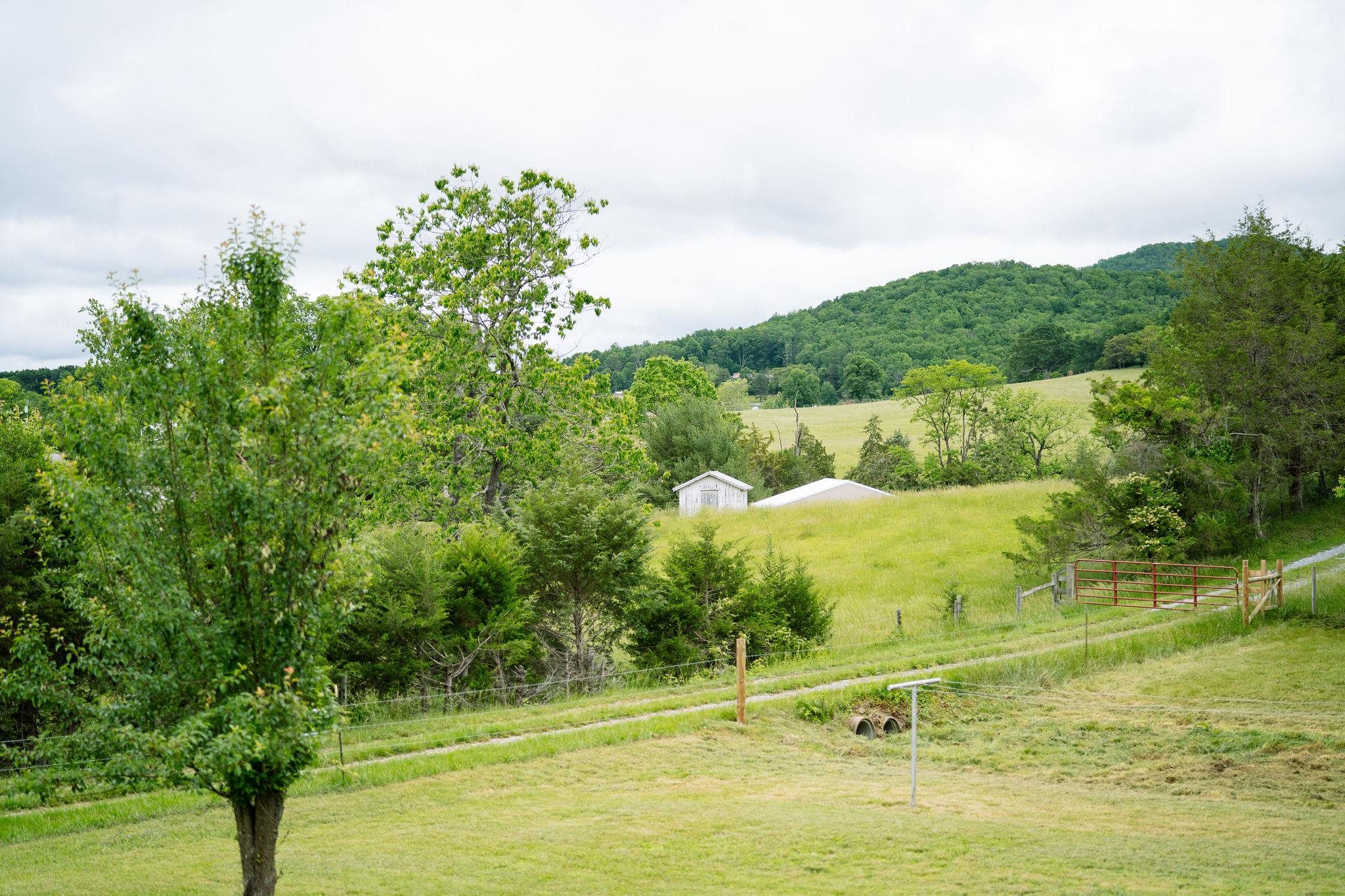 1702 MILL LN, ELKTON, Virginia 22827, 3 Bedrooms Bedrooms, ,1 BathroomBathrooms,Residential,1702 MILL LN,664891 MLS # 664891