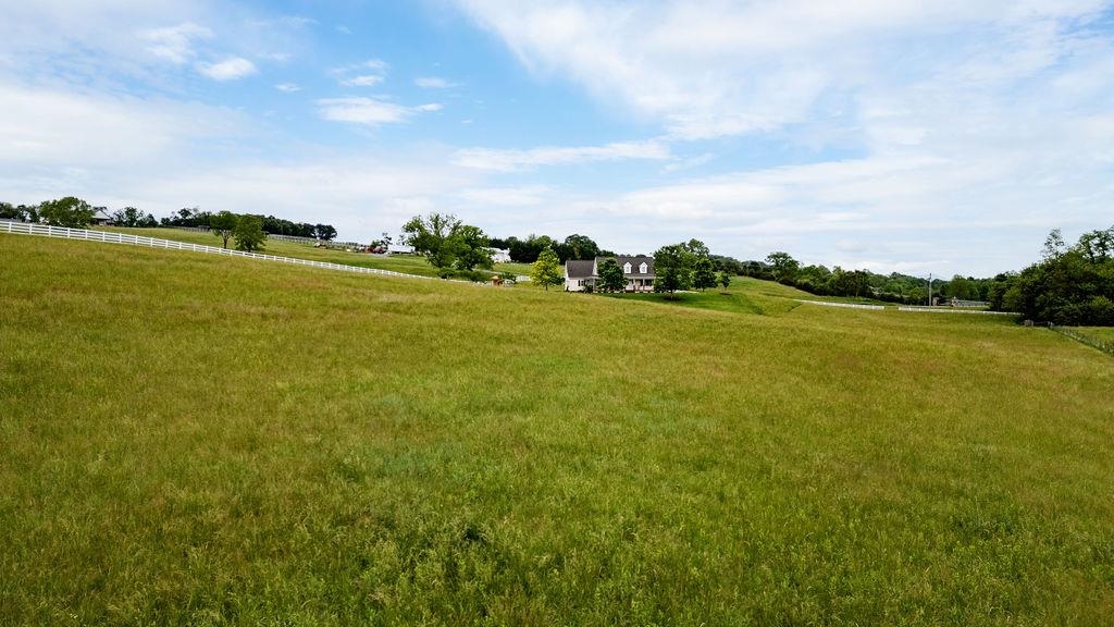 3008 SPRING HILL RD, STAUNTON, Virginia 24401, 4 Bedrooms Bedrooms, ,2 BathroomsBathrooms,Residential,3008 SPRING HILL RD,664900 MLS # 664900