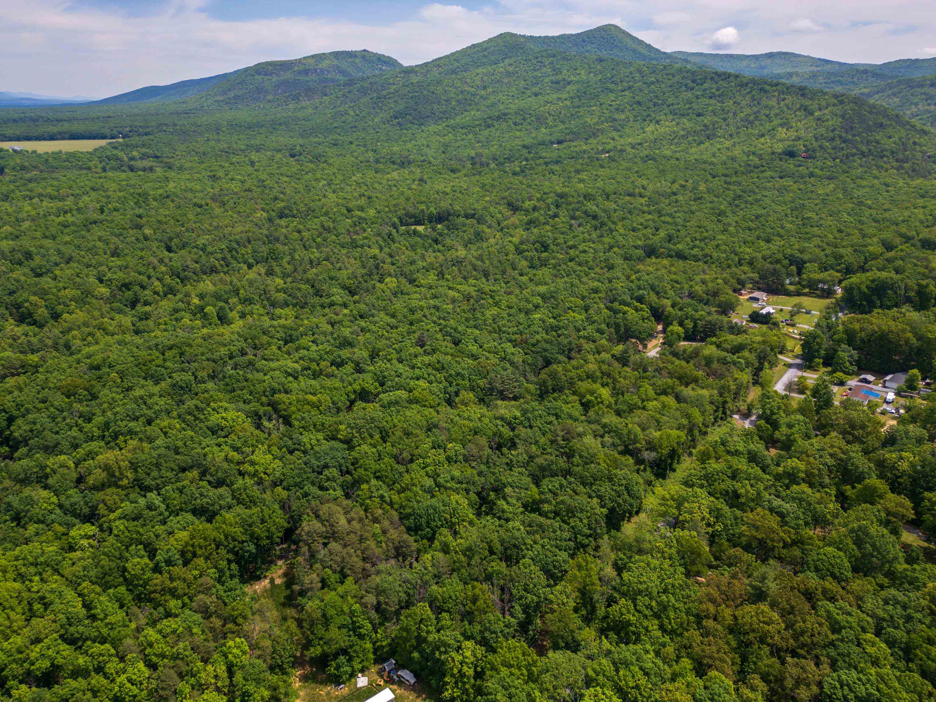 11.11 acres PAINE RUN RD, GROTTOES, Virginia 24441, ,Land,11.11 acres PAINE RUN RD,664930 MLS # 664930