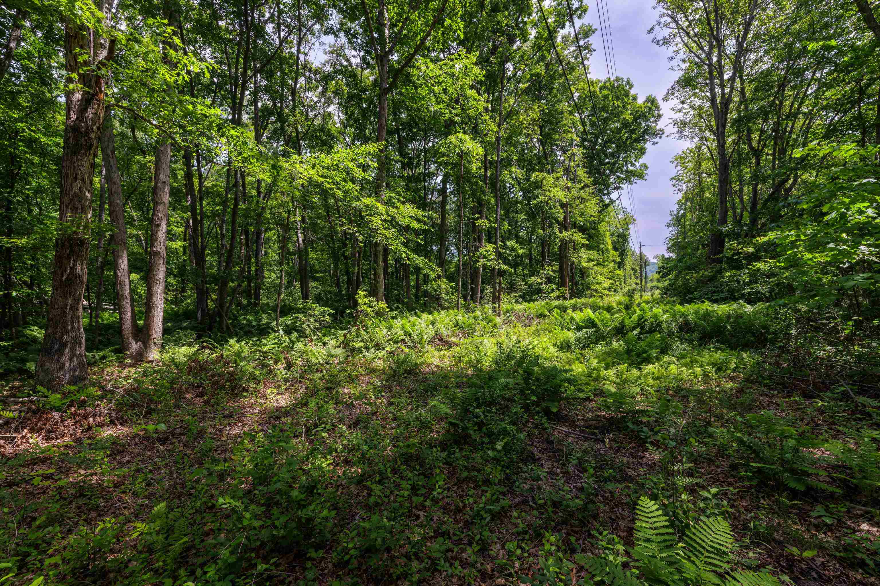 11.11 acres PAINE RUN RD, GROTTOES, Virginia 24441, ,Land,11.11 acres PAINE RUN RD,664930 MLS # 664930
