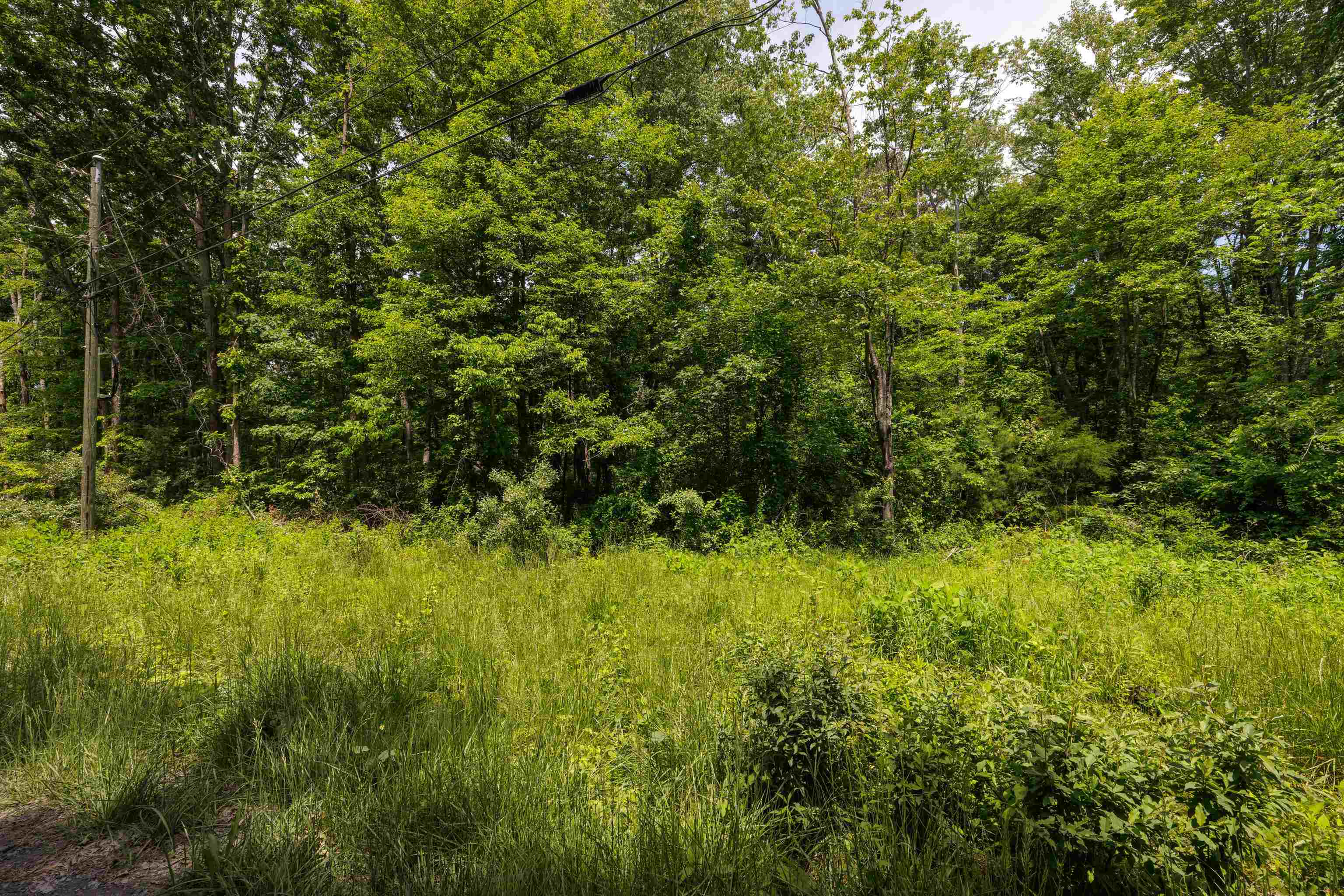 11.11 acres PAINE RUN RD, GROTTOES, Virginia 24441, ,Land,11.11 acres PAINE RUN RD,664930 MLS # 664930