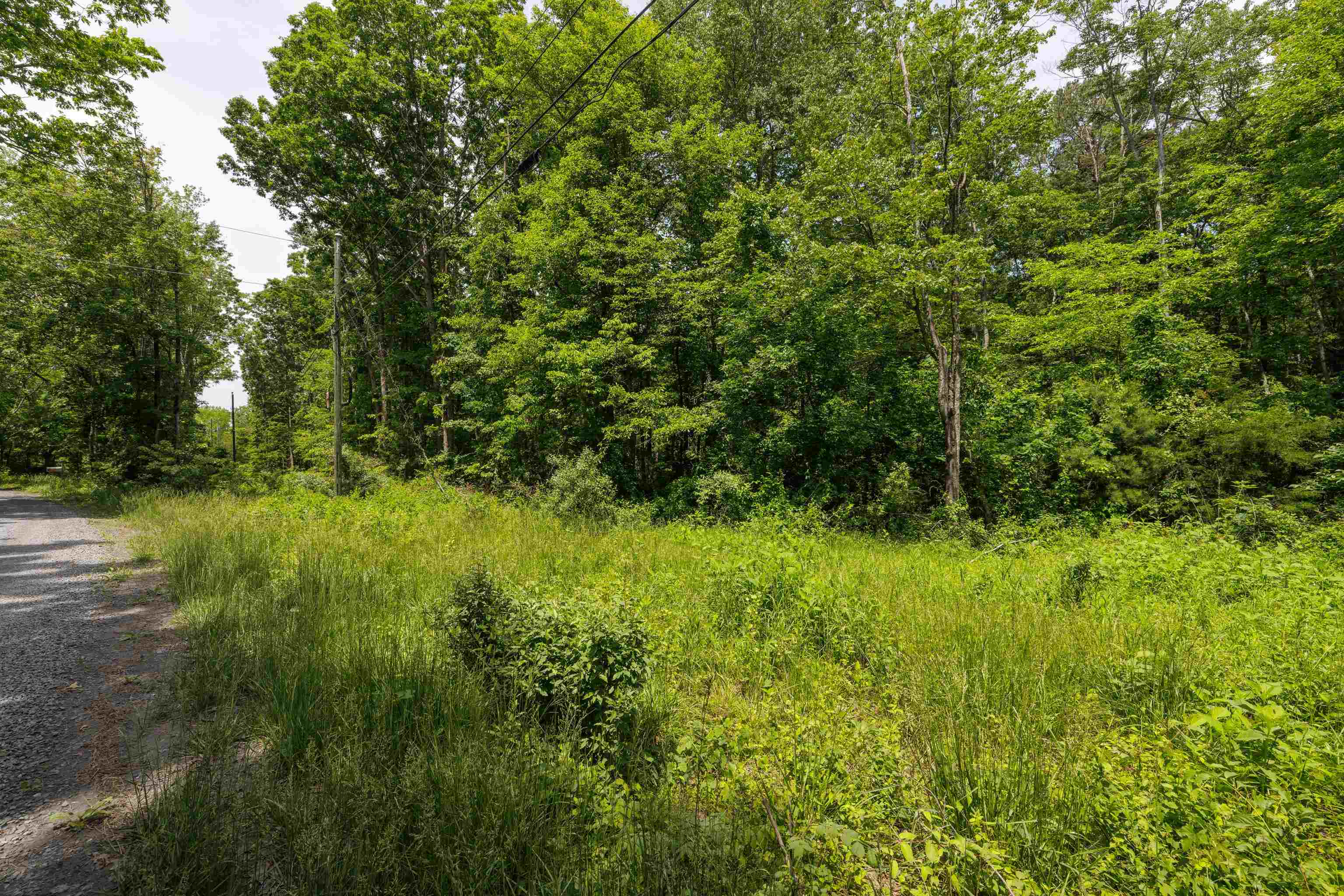 11.11 acres PAINE RUN RD, GROTTOES, Virginia 24441, ,Land,11.11 acres PAINE RUN RD,664930 MLS # 664930