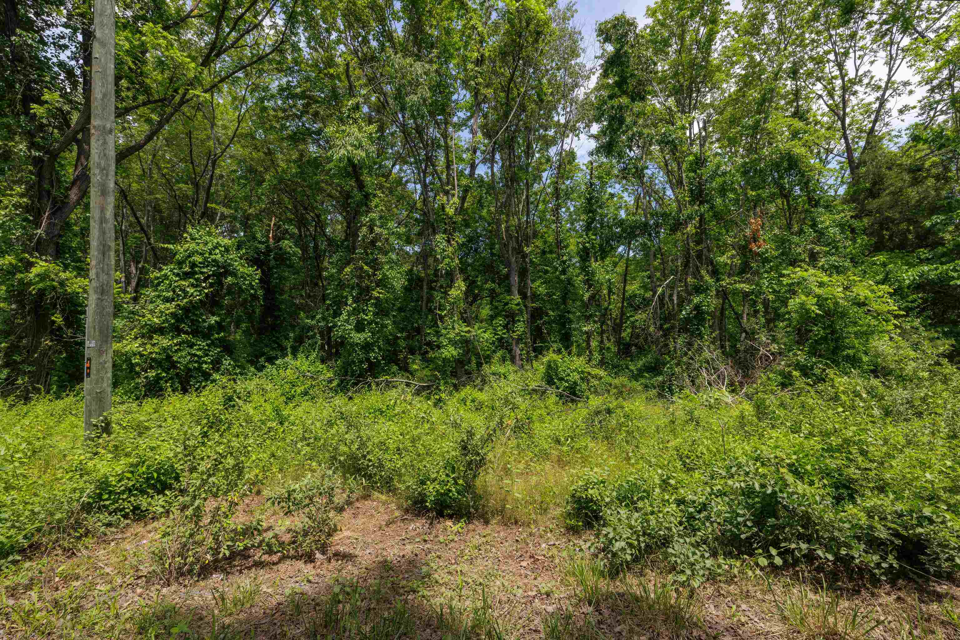 11.11 acres PAINE RUN RD, GROTTOES, Virginia 24441, ,Land,11.11 acres PAINE RUN RD,664930 MLS # 664930