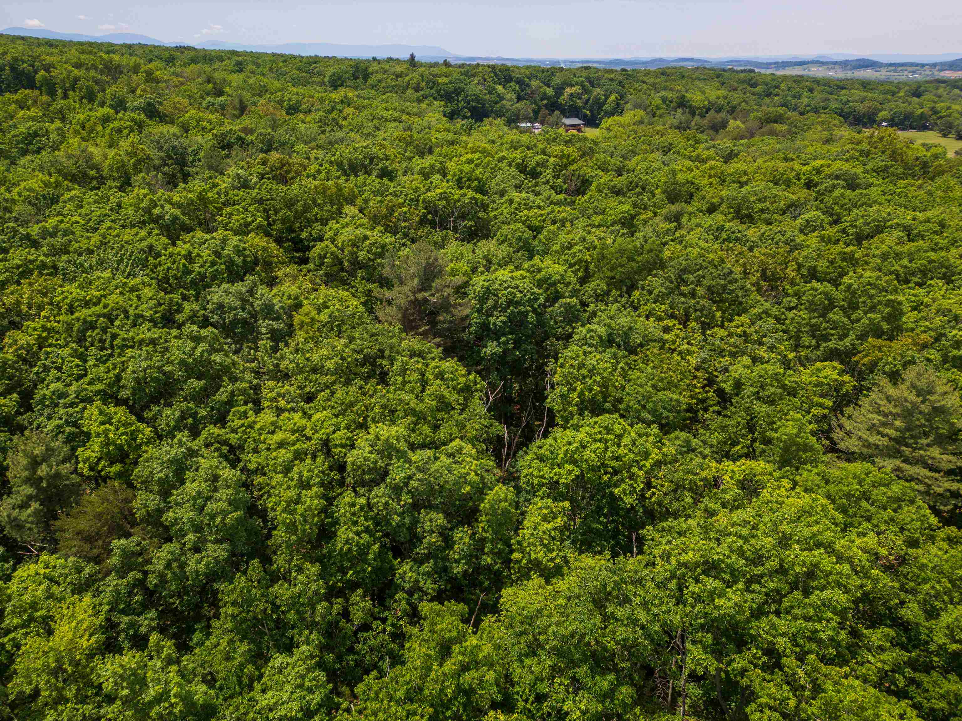 11.11 acres PAINE RUN RD, GROTTOES, Virginia 24441, ,Land,11.11 acres PAINE RUN RD,664930 MLS # 664930