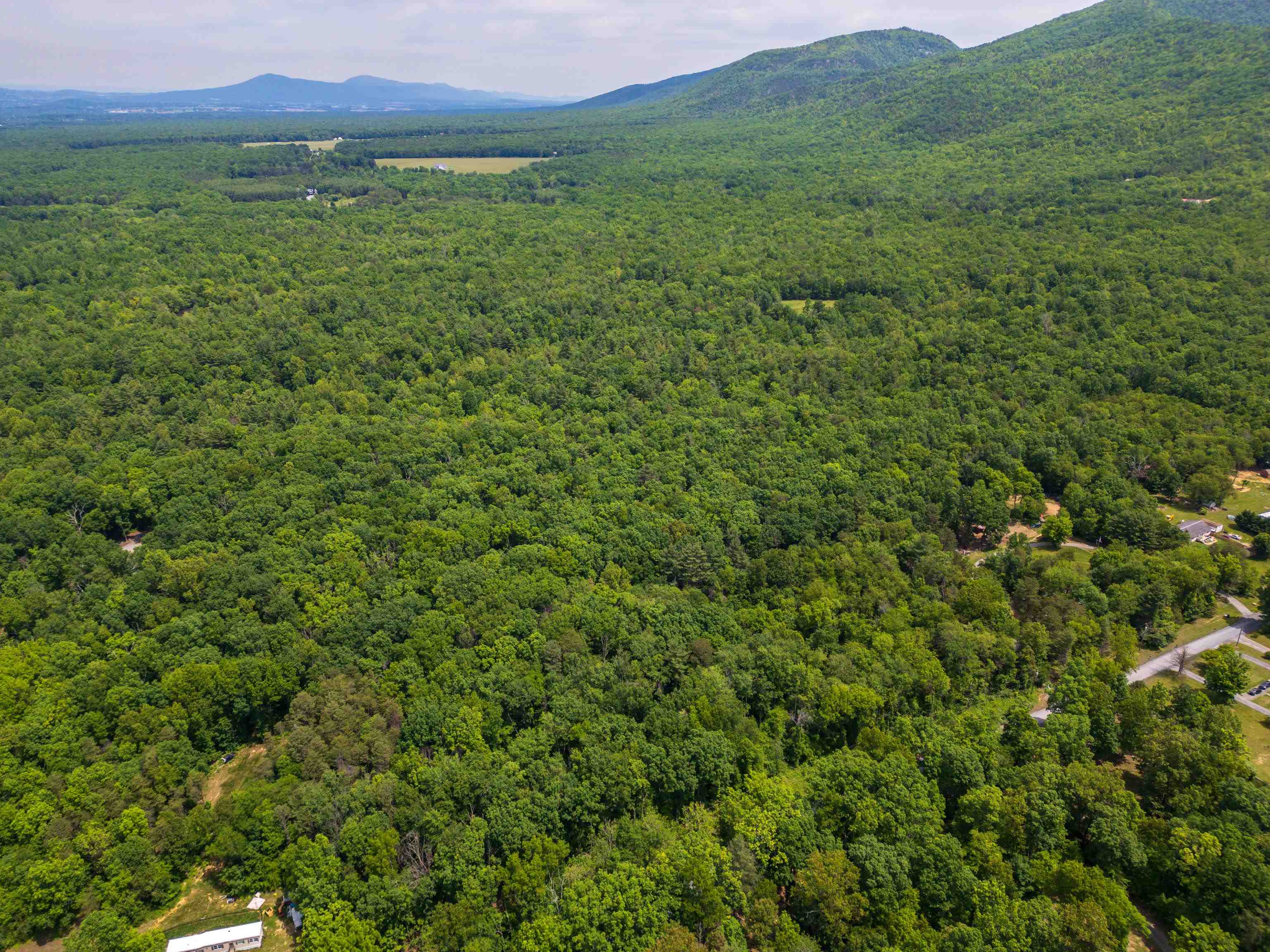 11.11 acres PAINE RUN RD, GROTTOES, Virginia 24441, ,Land,11.11 acres PAINE RUN RD,664930 MLS # 664930