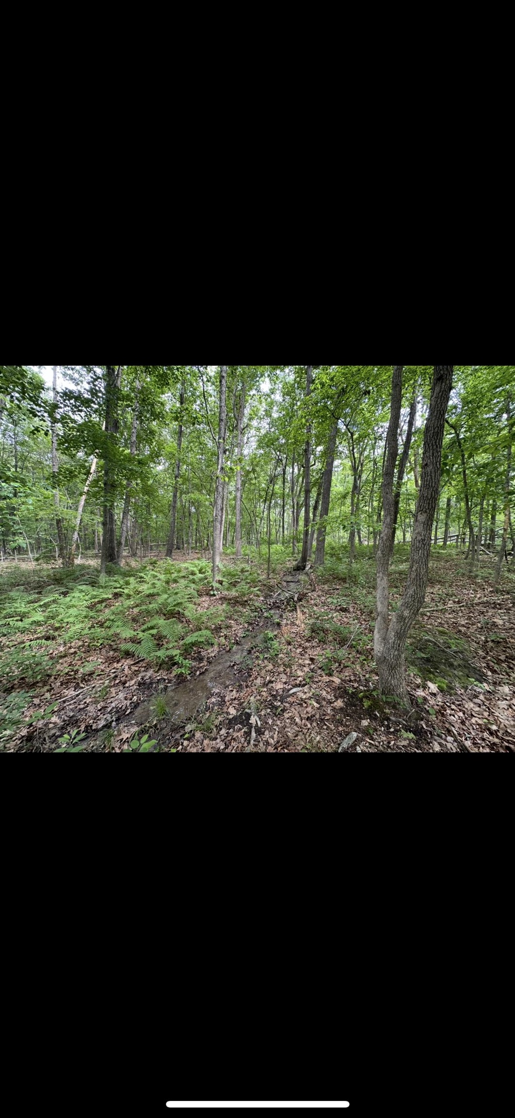 11.11 acres PAINE RUN RD, GROTTOES, Virginia 24441, ,Land,11.11 acres PAINE RUN RD,664930 MLS # 664930