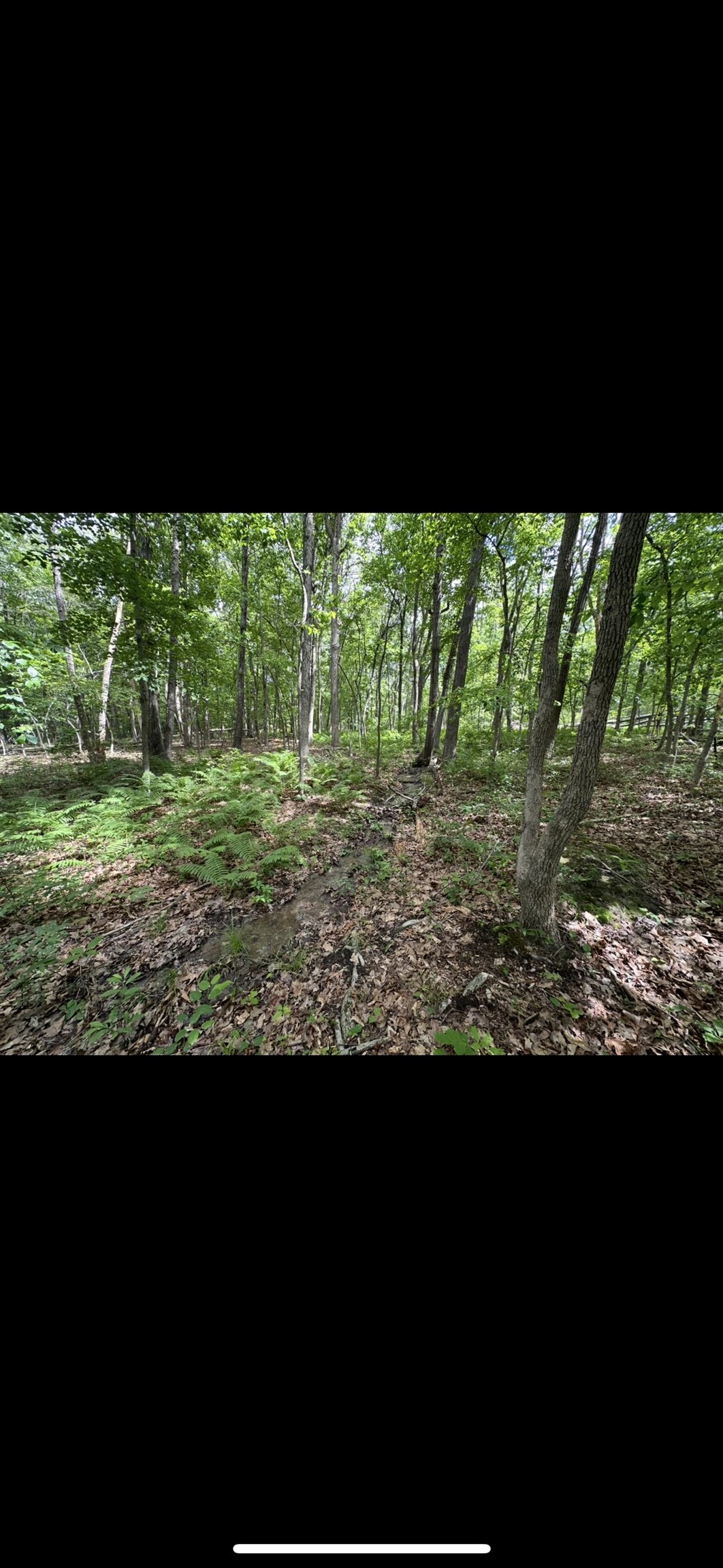 11.11 acres PAINE RUN RD, GROTTOES, Virginia 24441, ,Land,11.11 acres PAINE RUN RD,664930 MLS # 664930