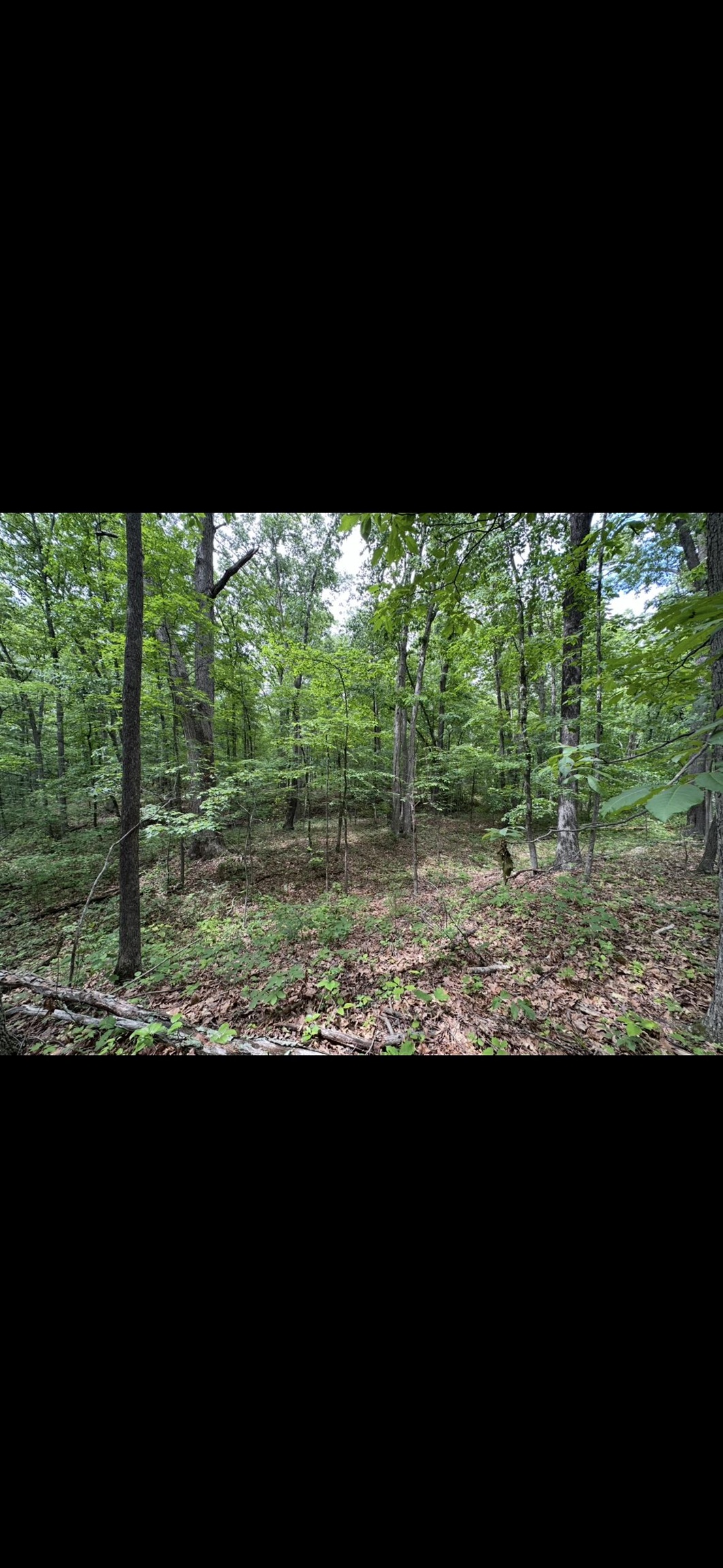 11.11 acres PAINE RUN RD, GROTTOES, Virginia 24441, ,Land,11.11 acres PAINE RUN RD,664930 MLS # 664930