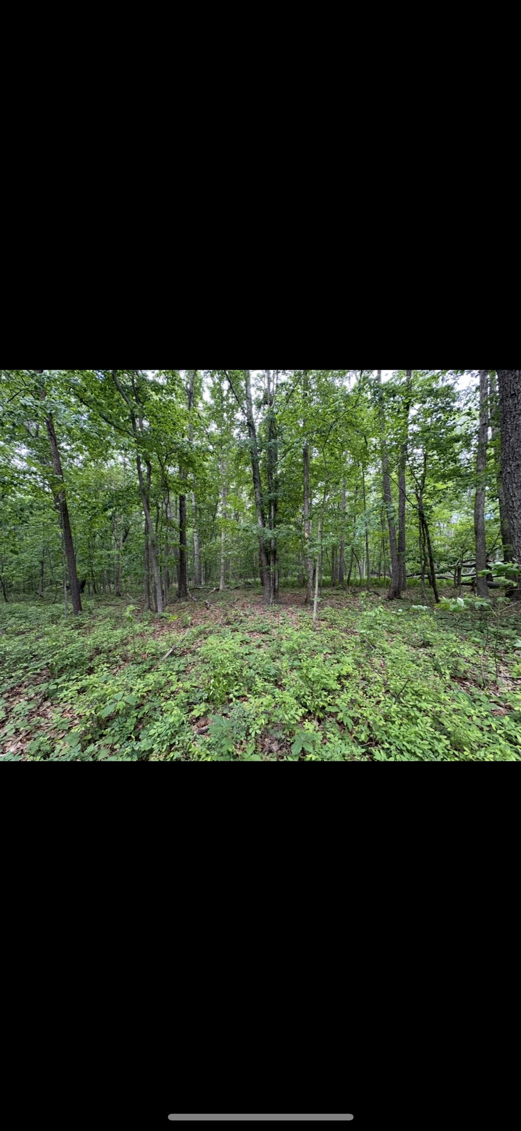 11.11 acres PAINE RUN RD, GROTTOES, Virginia 24441, ,Land,11.11 acres PAINE RUN RD,664930 MLS # 664930