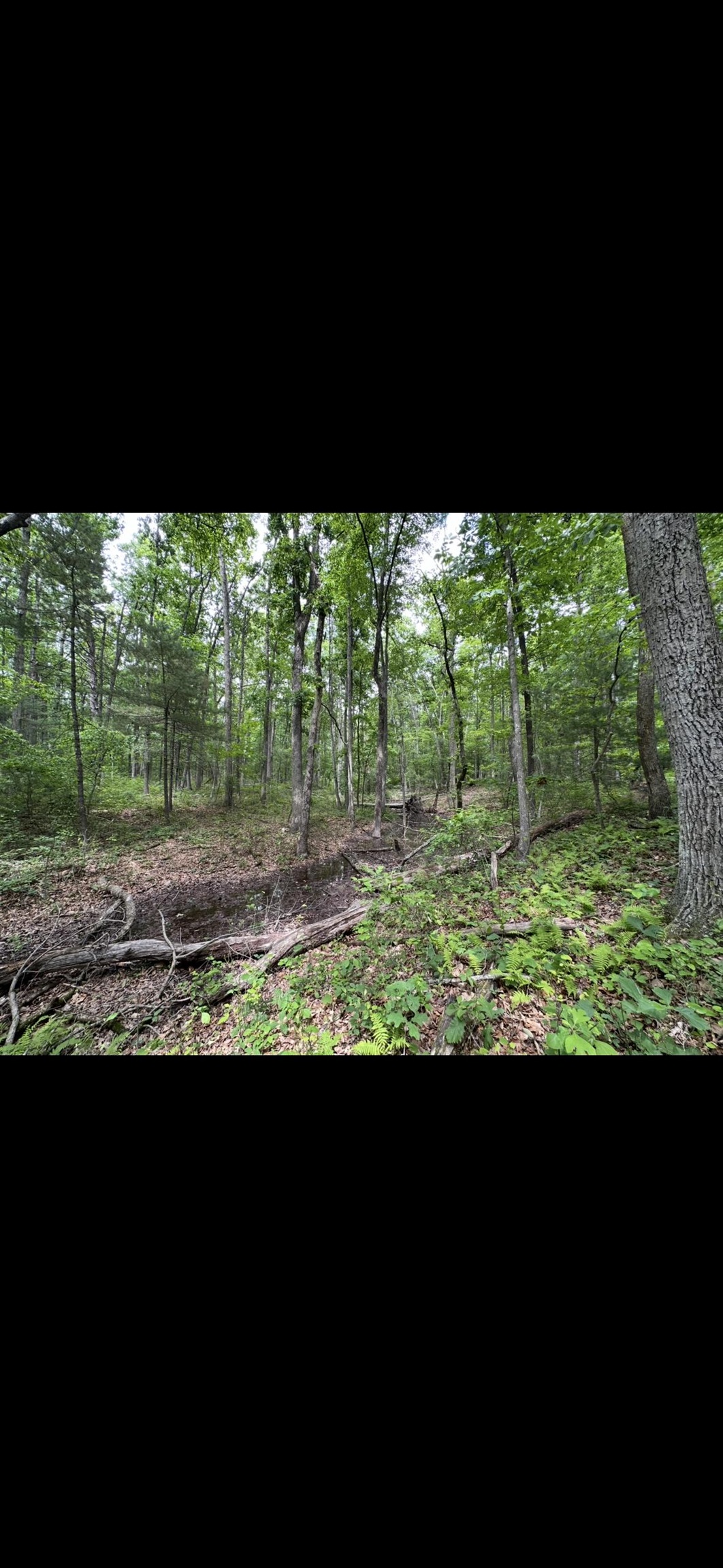 11.11 acres PAINE RUN RD, GROTTOES, Virginia 24441, ,Land,11.11 acres PAINE RUN RD,664930 MLS # 664930