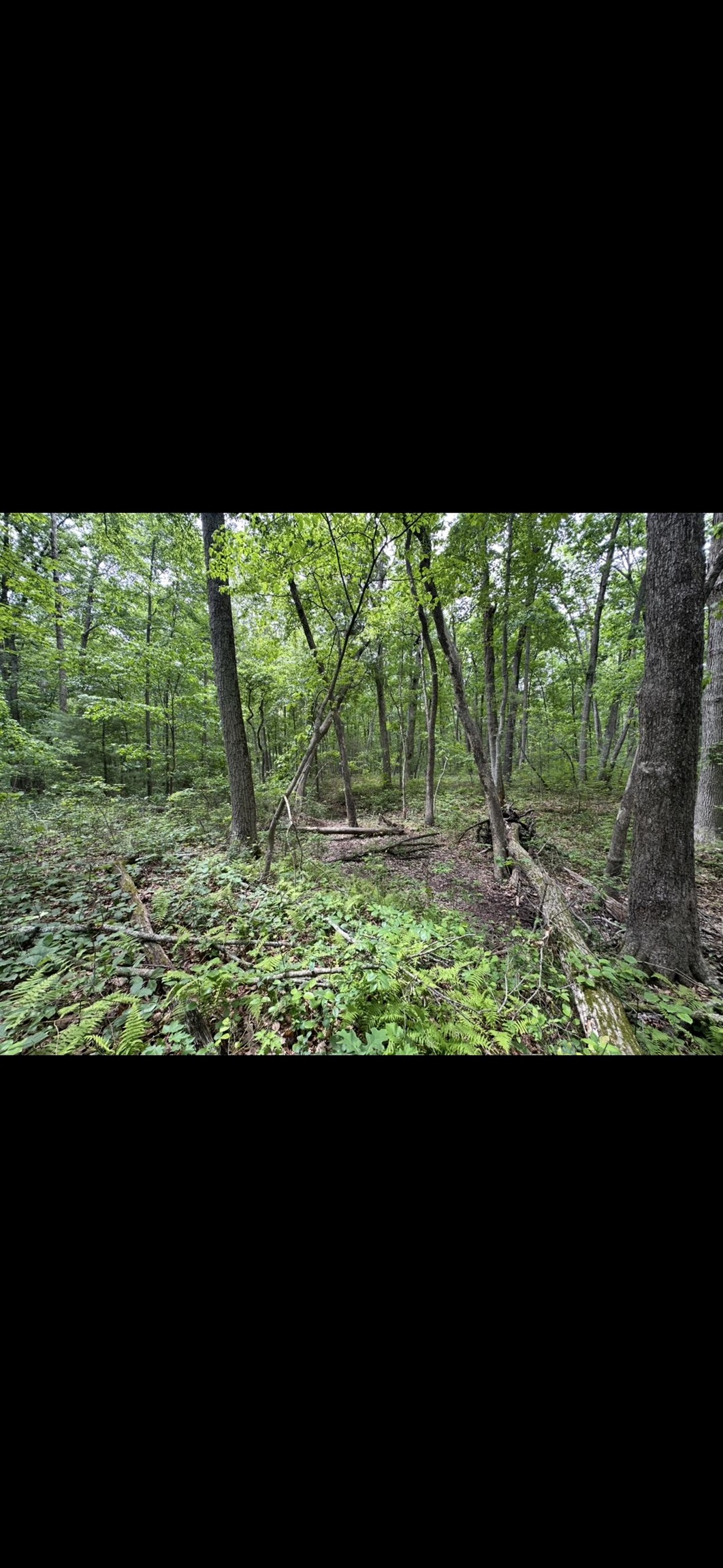 11.11 acres PAINE RUN RD, GROTTOES, Virginia 24441, ,Land,11.11 acres PAINE RUN RD,664930 MLS # 664930
