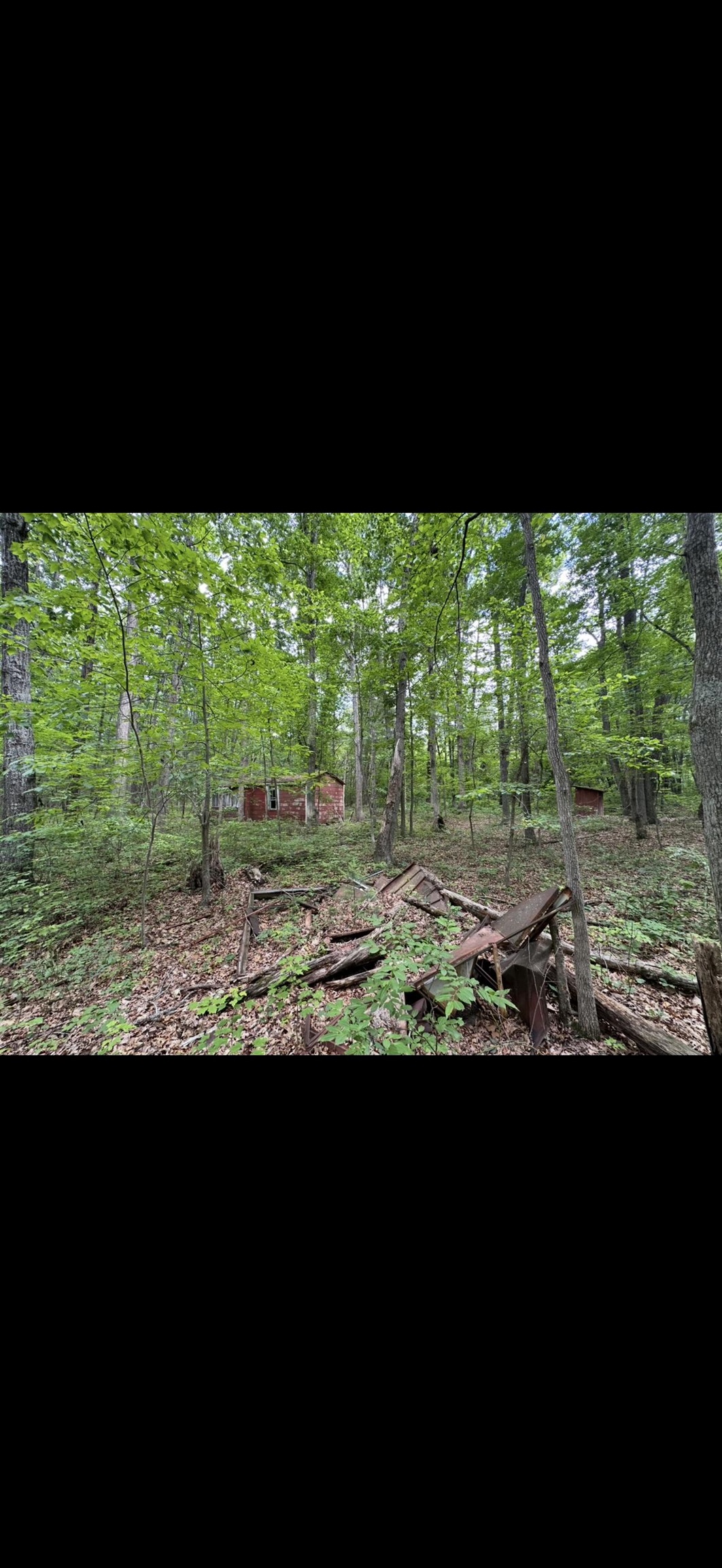 11.11 acres PAINE RUN RD, GROTTOES, Virginia 24441, ,Land,11.11 acres PAINE RUN RD,664930 MLS # 664930