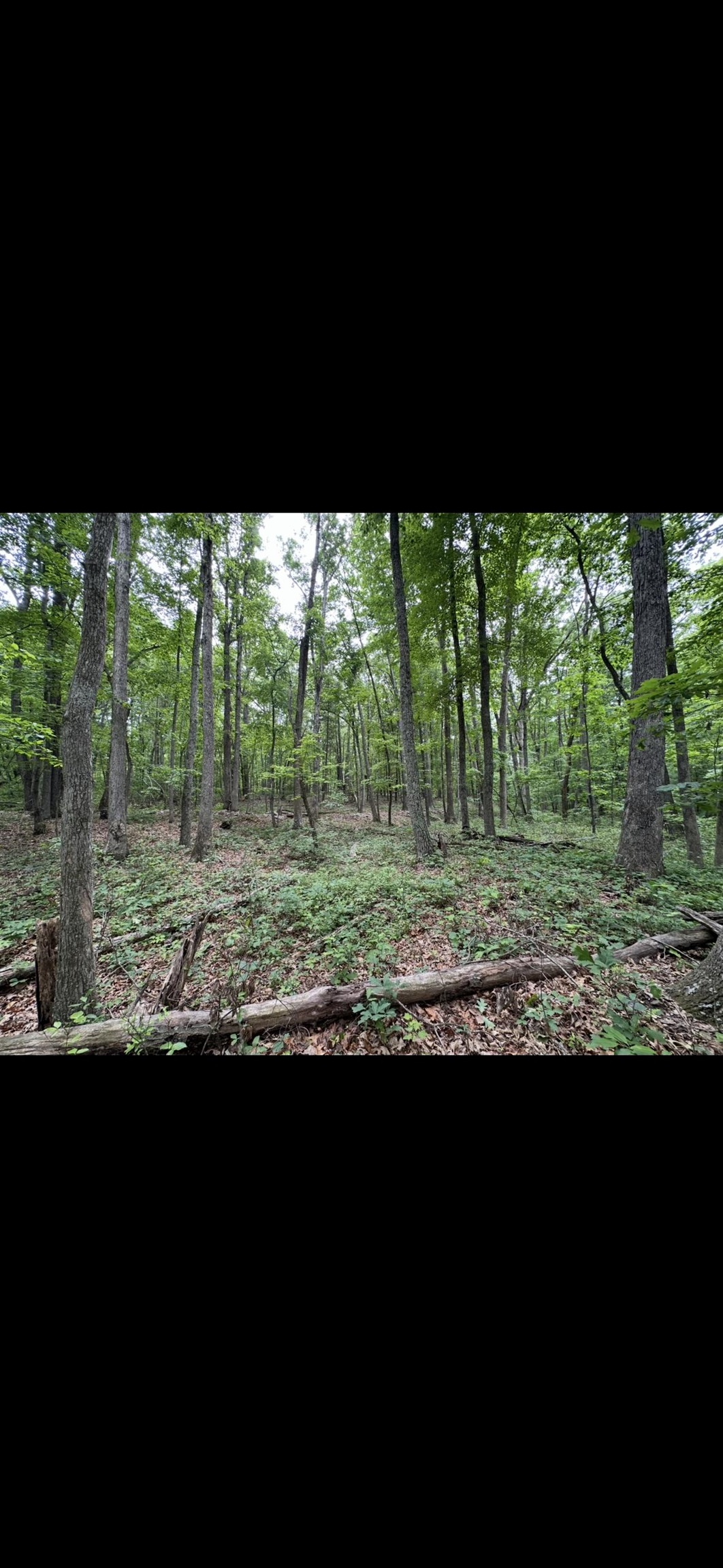 11.11 acres PAINE RUN RD, GROTTOES, Virginia 24441, ,Land,11.11 acres PAINE RUN RD,664930 MLS # 664930