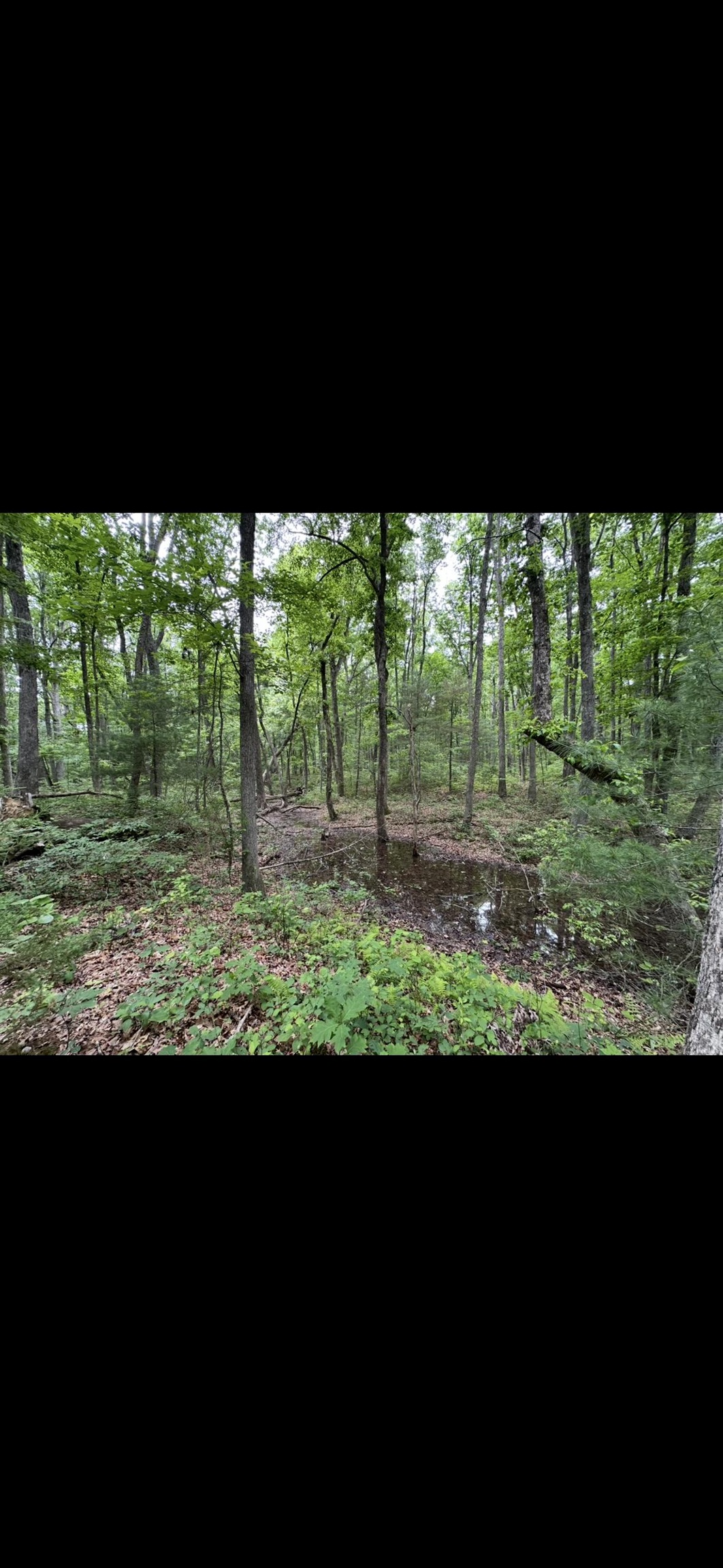 11.11 acres PAINE RUN RD, GROTTOES, Virginia 24441, ,Land,11.11 acres PAINE RUN RD,664930 MLS # 664930