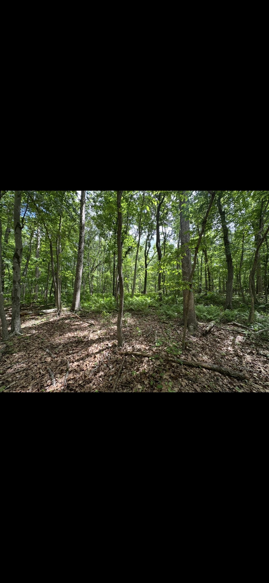 11.11 acres PAINE RUN RD, GROTTOES, Virginia 24441, ,Land,11.11 acres PAINE RUN RD,664930 MLS # 664930