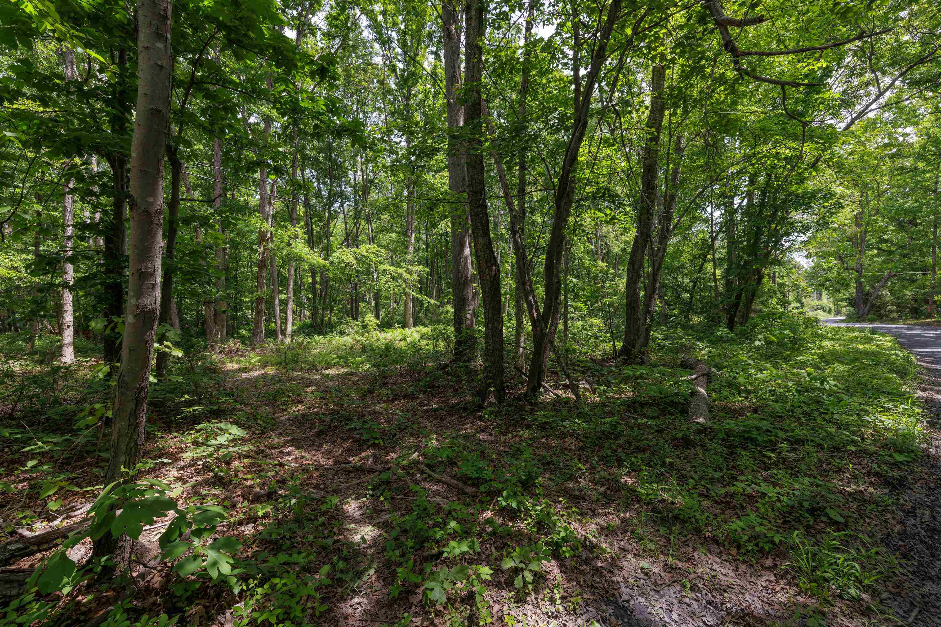 11.11 acres PAINE RUN RD, GROTTOES, Virginia 24441, ,Land,11.11 acres PAINE RUN RD,664930 MLS # 664930