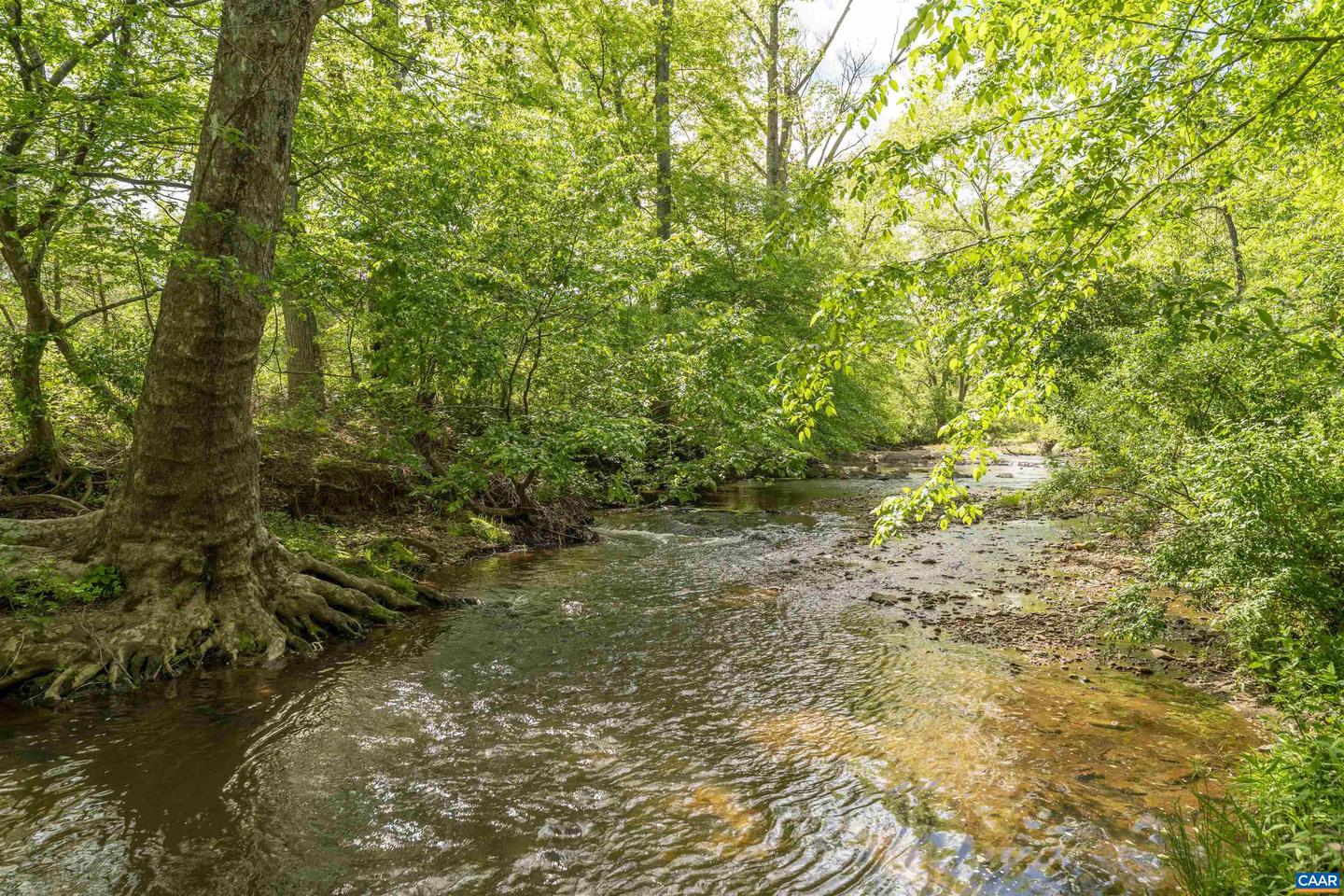 5629 FITZGERALD RD, CHARLOTTESVILLE, Virginia 22903, 2 Bedrooms Bedrooms, ,2 BathroomsBathrooms,Residential,For sale,5629 FITZGERALD RD,664383 MLS # 664383