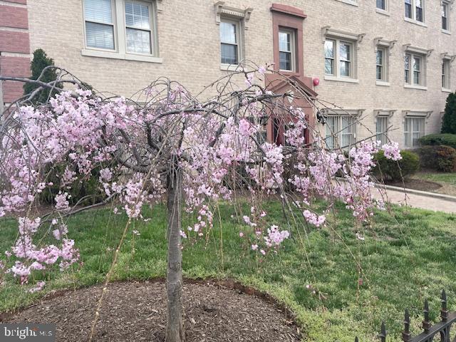 2625 3RD ST NE #105, WASHINGTON, District Of Columbia 20002, 1 Bedroom Bedrooms, ,1 BathroomBathrooms,Residential,For sale,2625 3RD ST NE #105,DCDC2200366 MLS # DCDC2200366