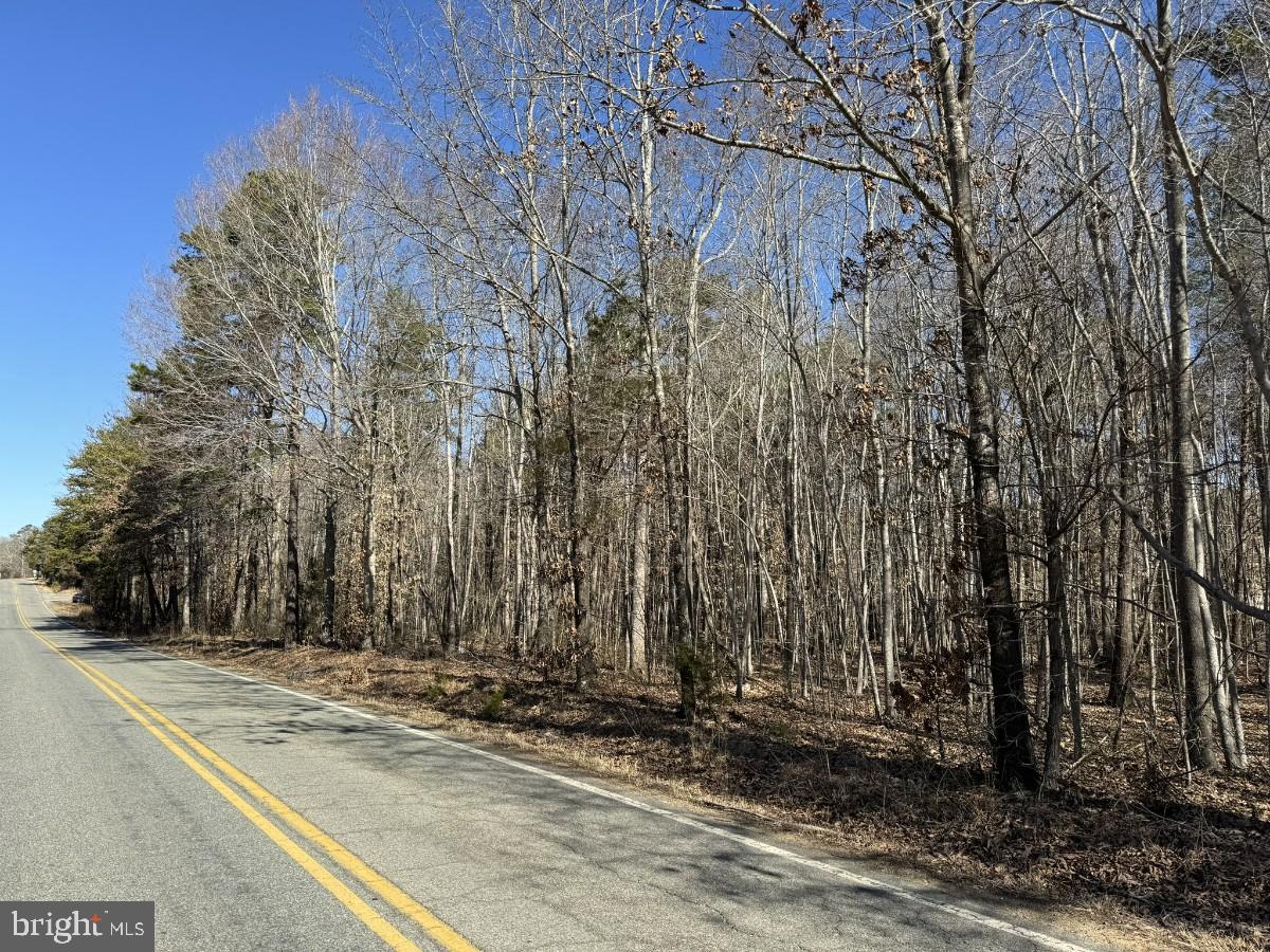 BERRY HILL RD, SOUTH BOSTON, Virginia 24592, ,Land,For sale,BERRY HILL RD,VAHX2000094 MLS # VAHX2000094