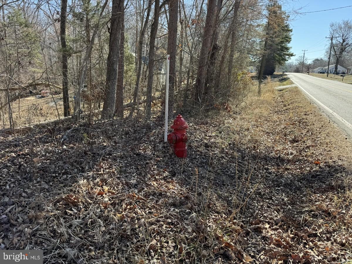 BERRY HILL RD, SOUTH BOSTON, Virginia 24592, ,Land,For sale,BERRY HILL RD,VAHX2000094 MLS # VAHX2000094