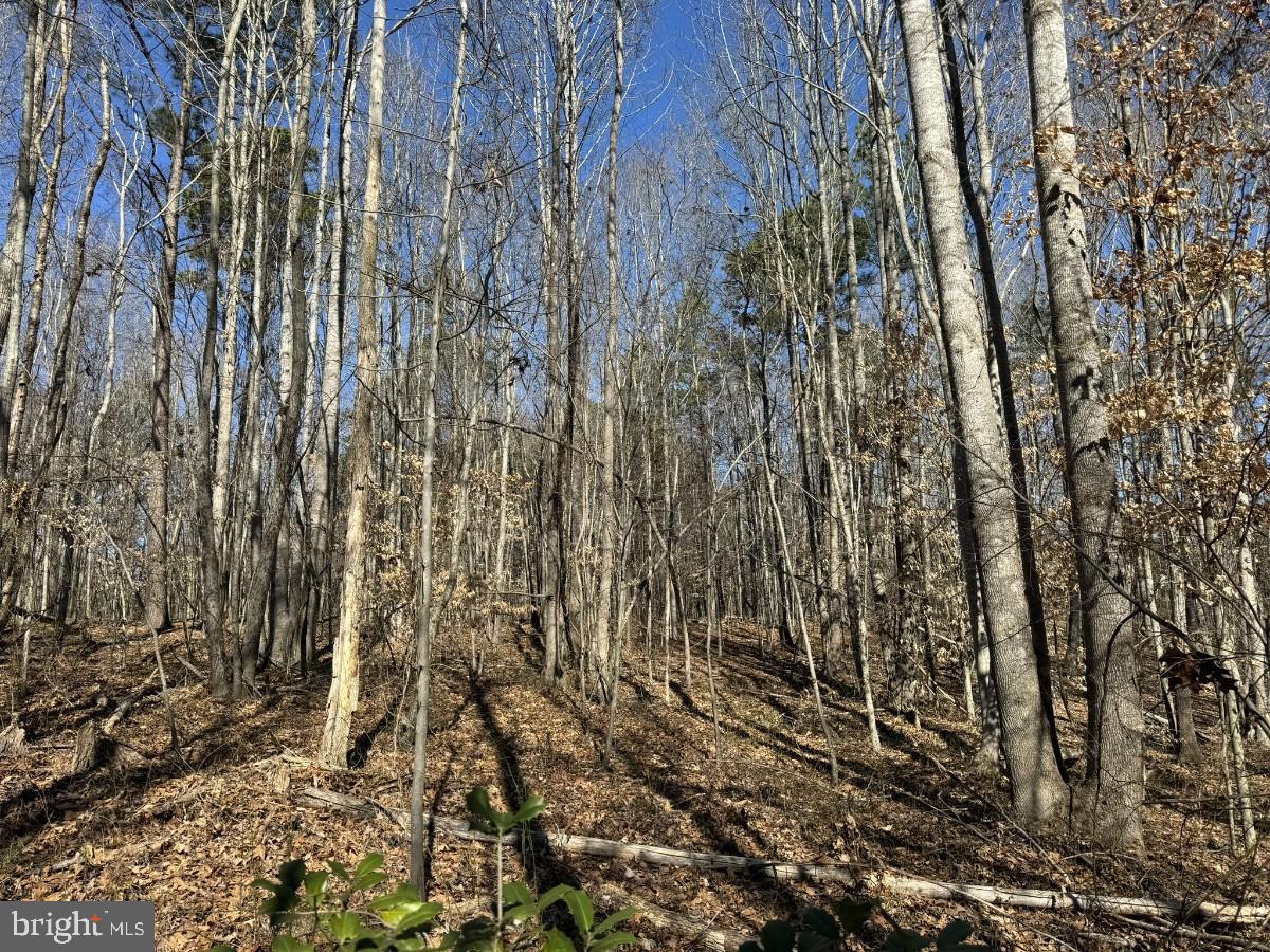 BERRY HILL RD, SOUTH BOSTON, Virginia 24592, ,Land,For sale,BERRY HILL RD,VAHX2000094 MLS # VAHX2000094