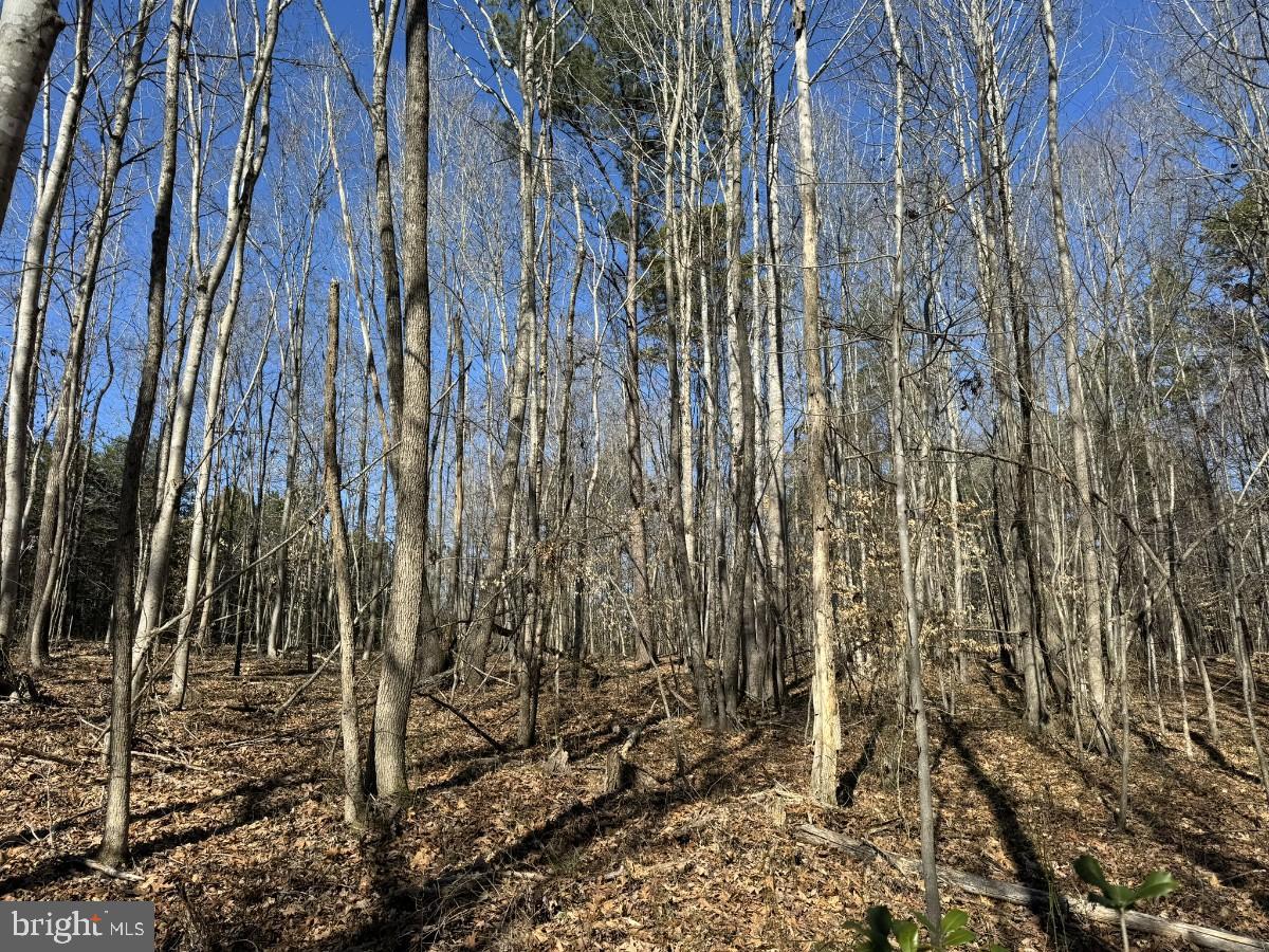 BERRY HILL RD, SOUTH BOSTON, Virginia 24592, ,Land,For sale,BERRY HILL RD,VAHX2000094 MLS # VAHX2000094