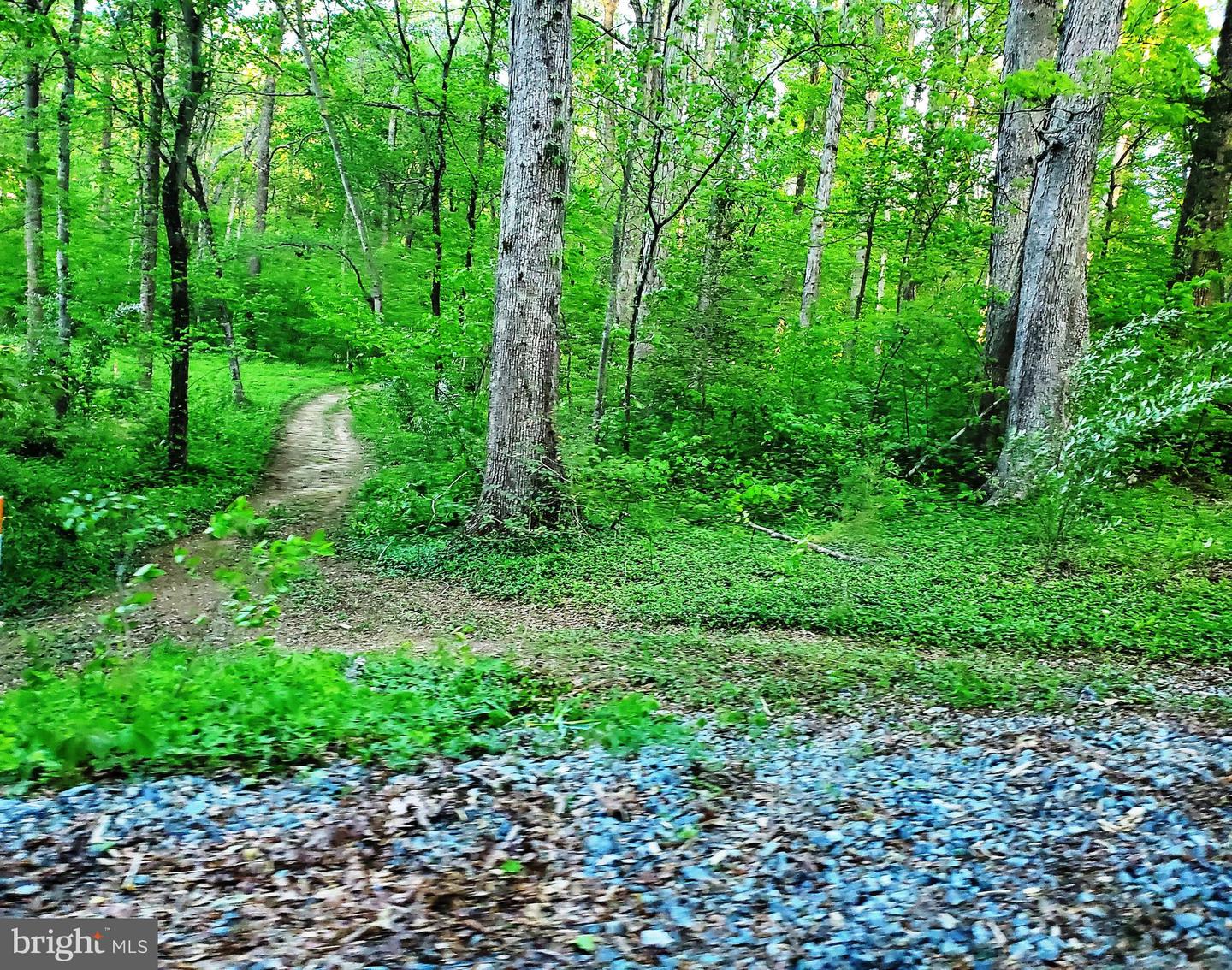 GLADE DRIVE, STAFFORD, Virginia 22554, ,Land,For sale,GLADE DRIVE,VAST2038302 MLS # VAST2038302