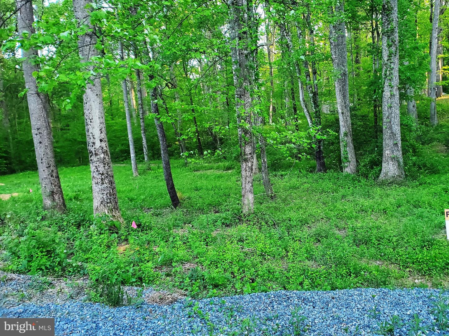 GLADE DRIVE, STAFFORD, Virginia 22554, ,Land,For sale,GLADE DRIVE,VAST2038302 MLS # VAST2038302